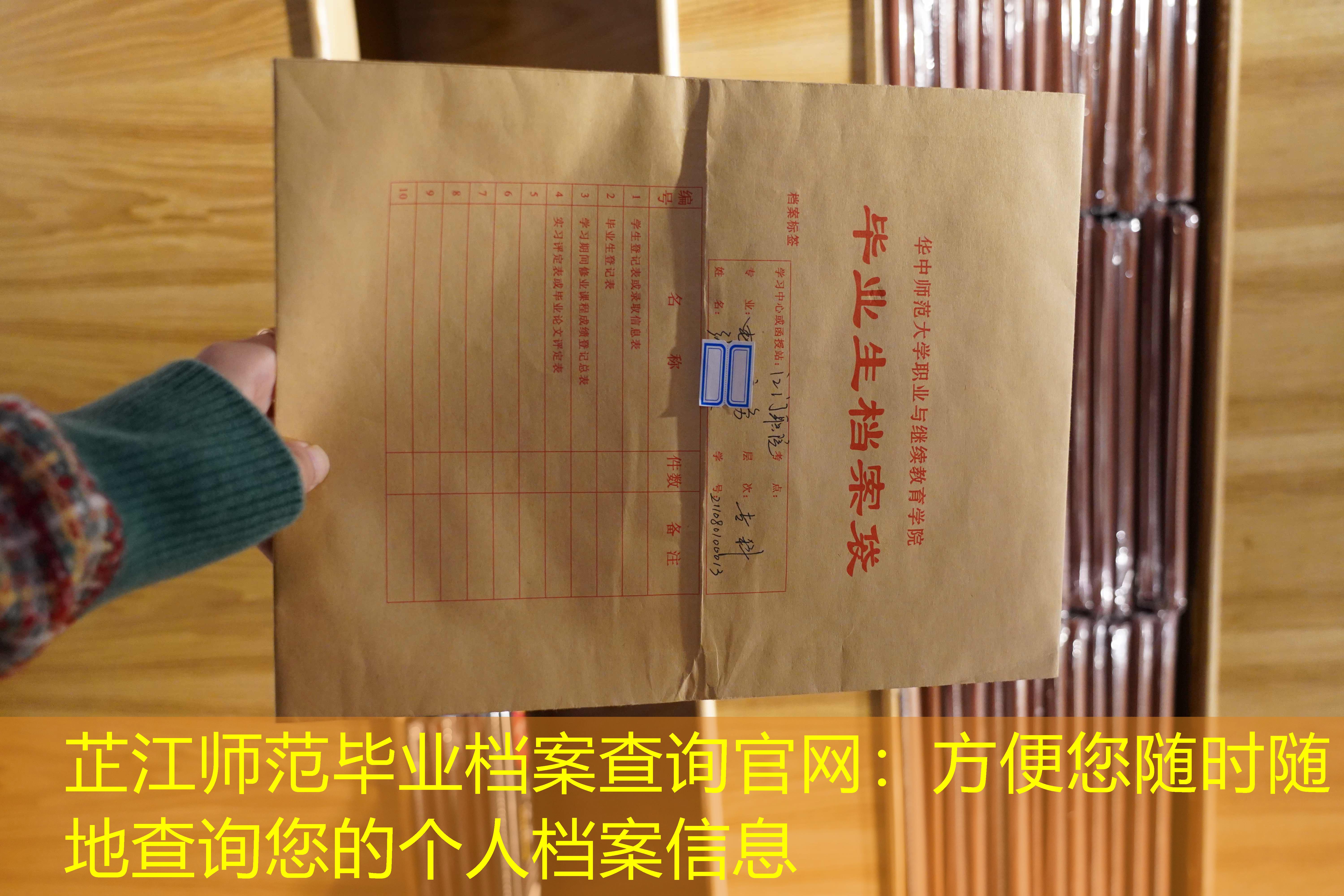 档案查询