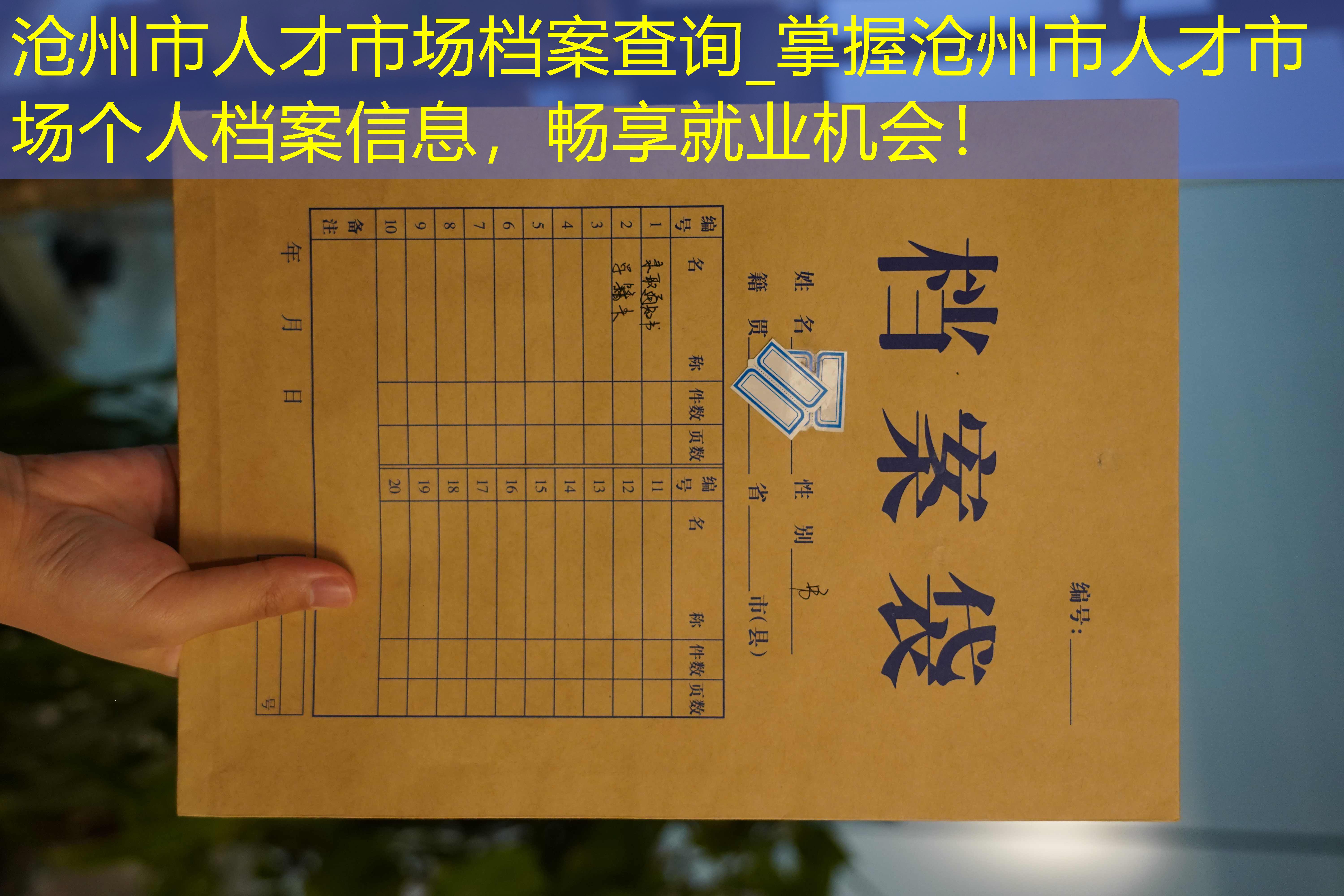 档案查询