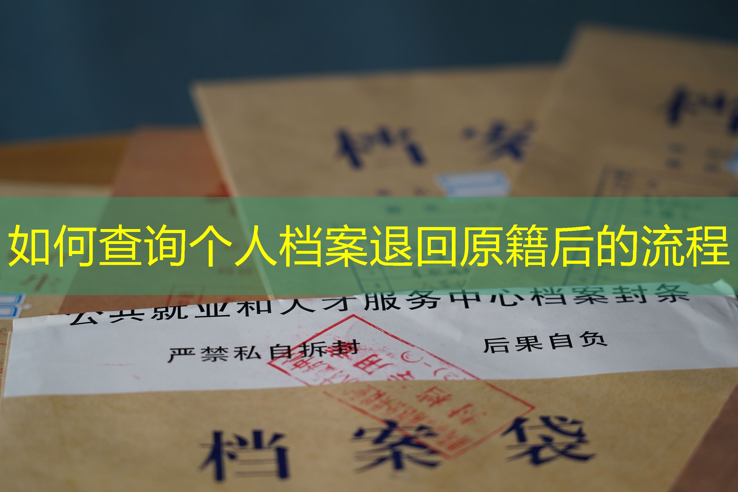 档案查询