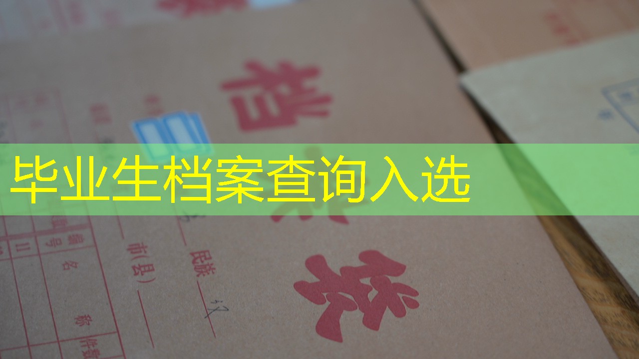 档案查询