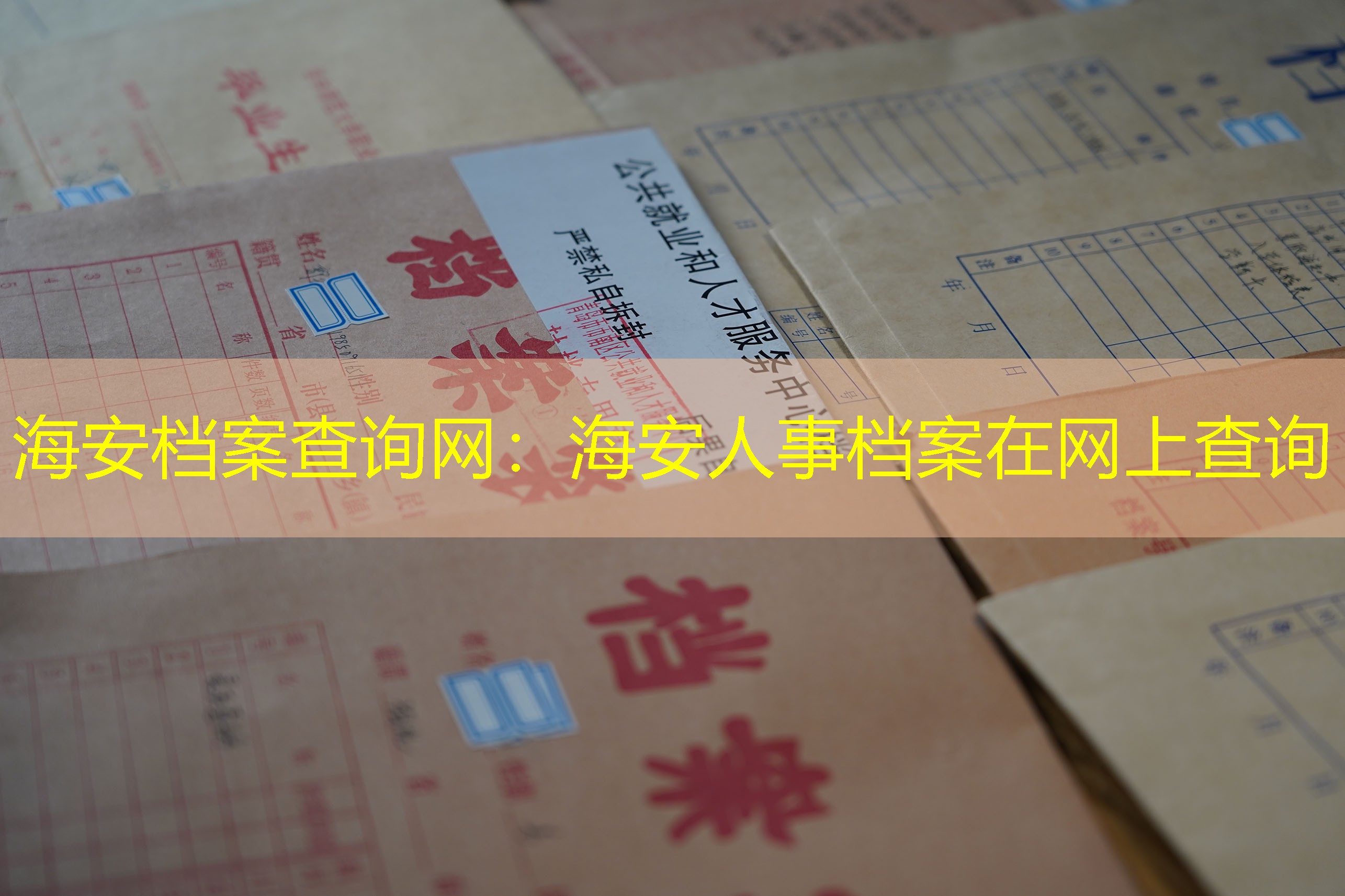 档案查询