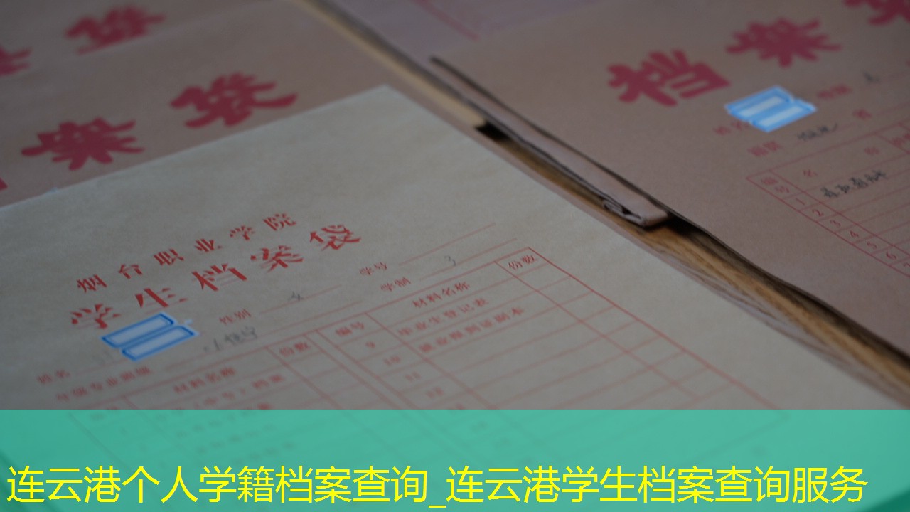 档案查询