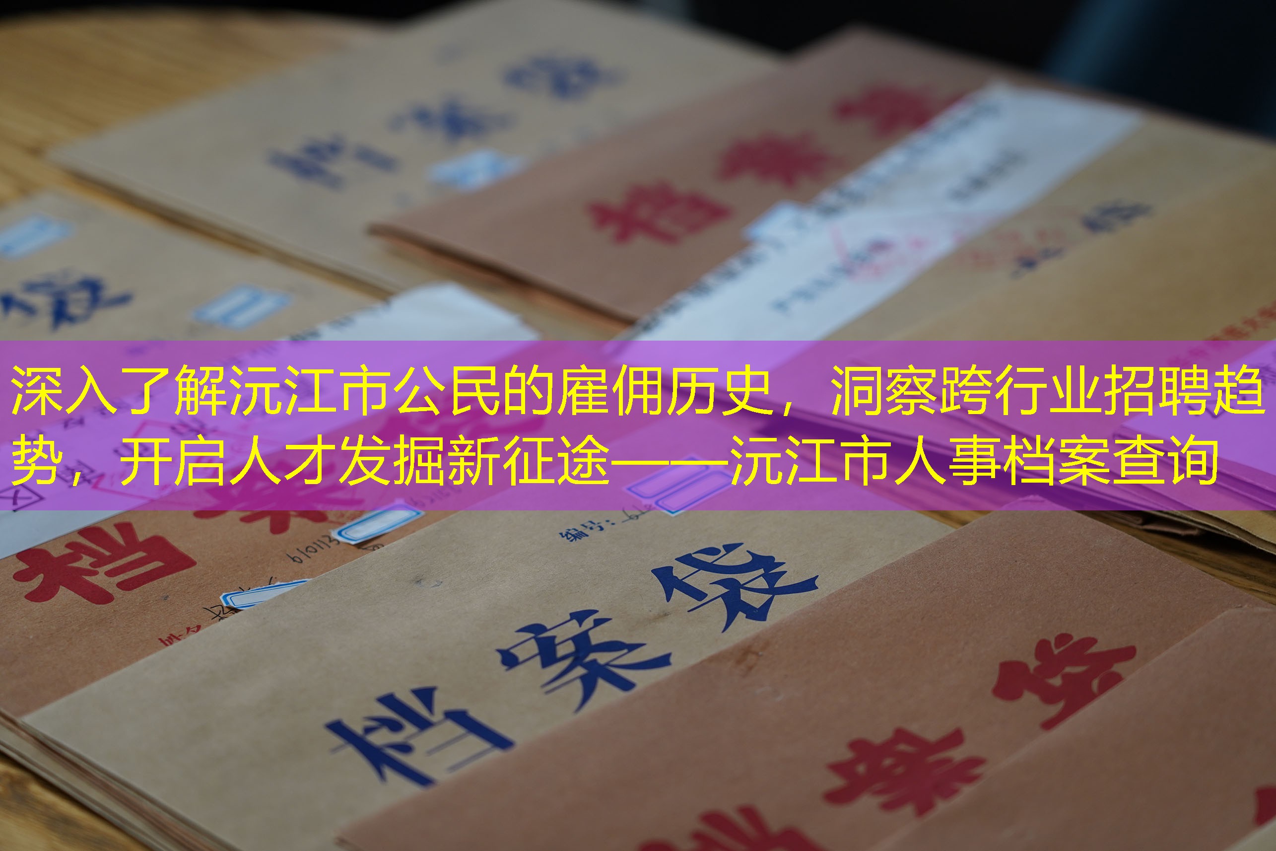 档案查询