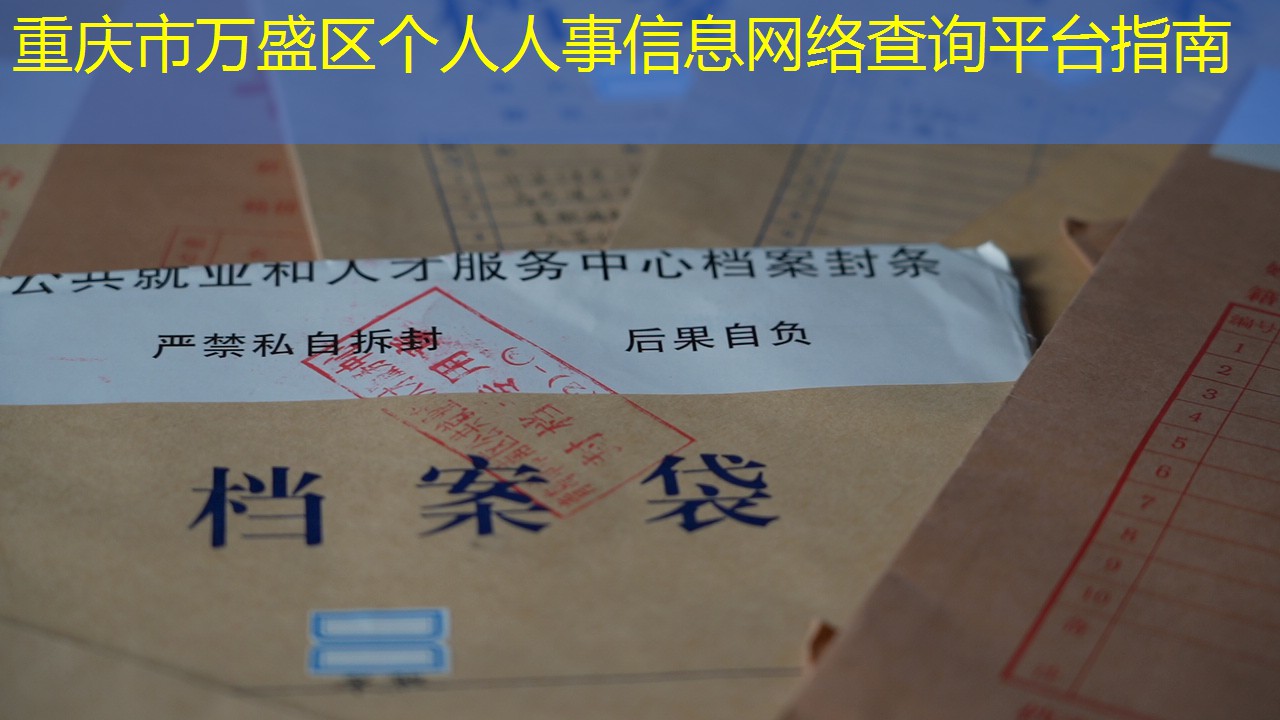 档案查询