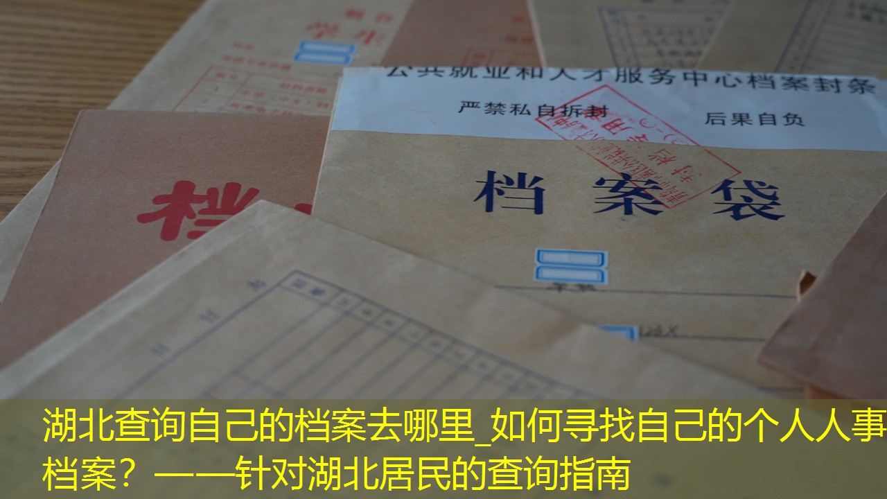 档案查询