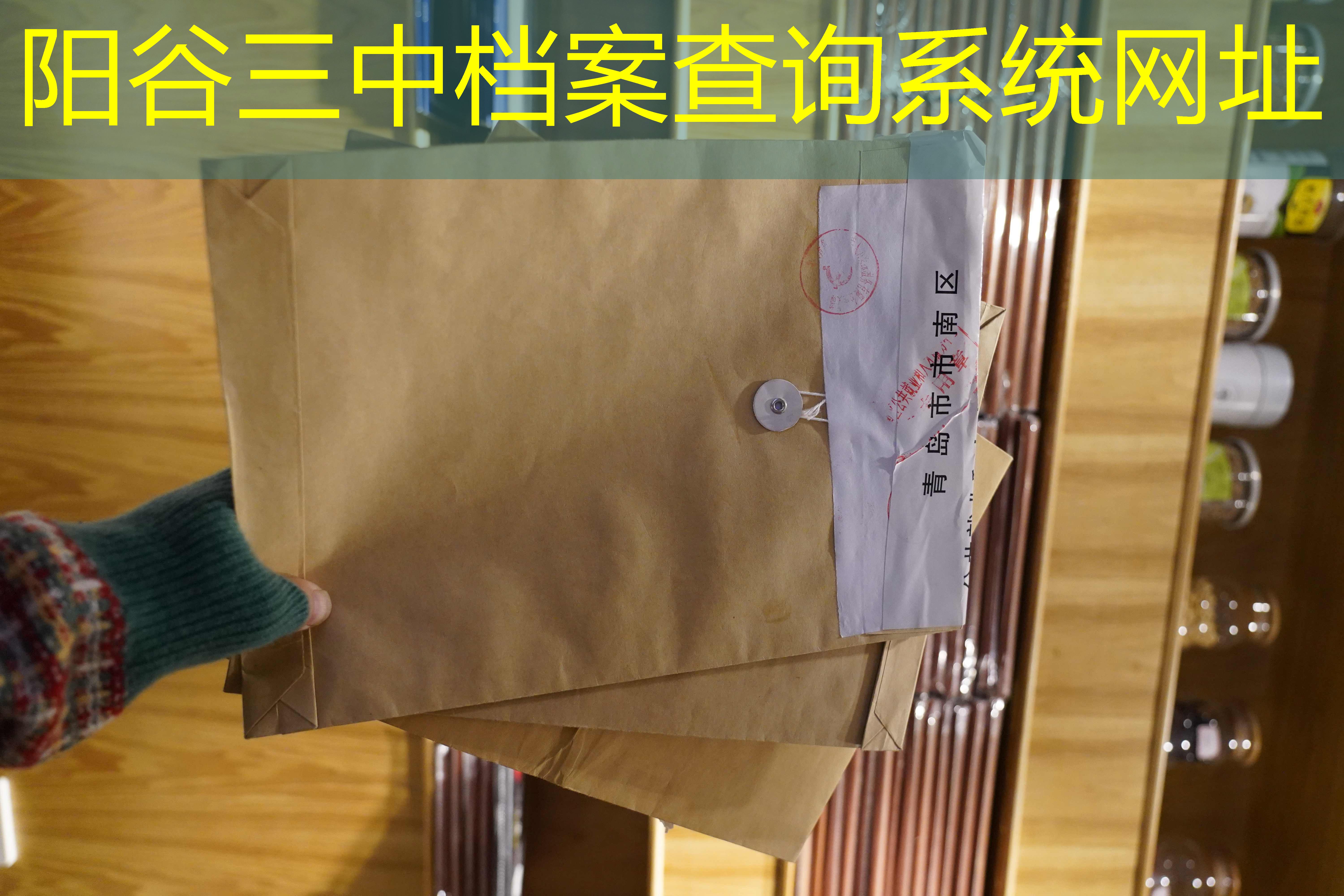 档案查询