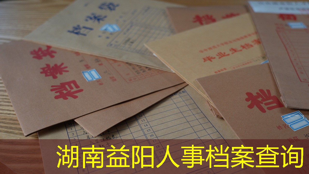 档案查询