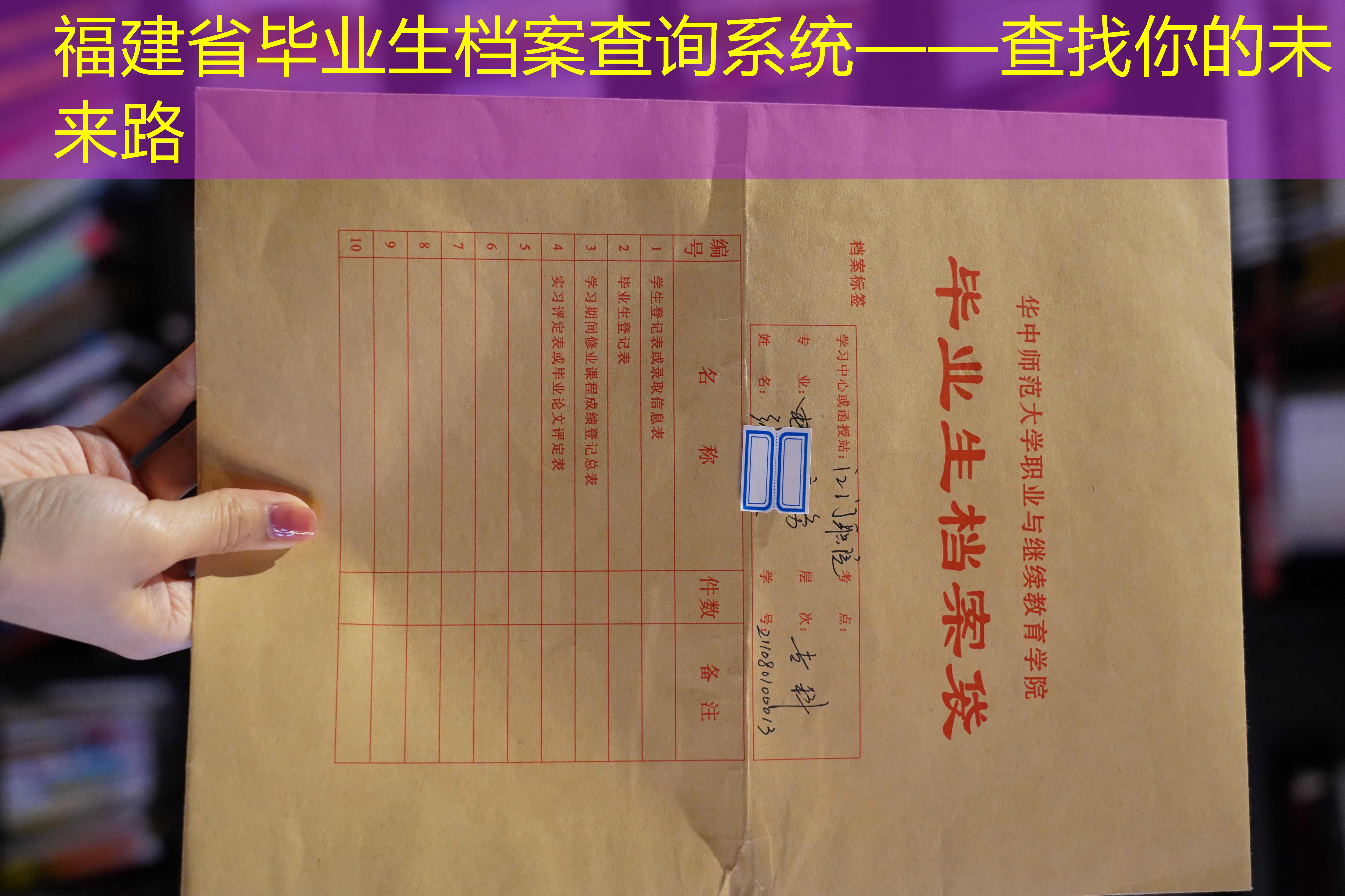 档案查询