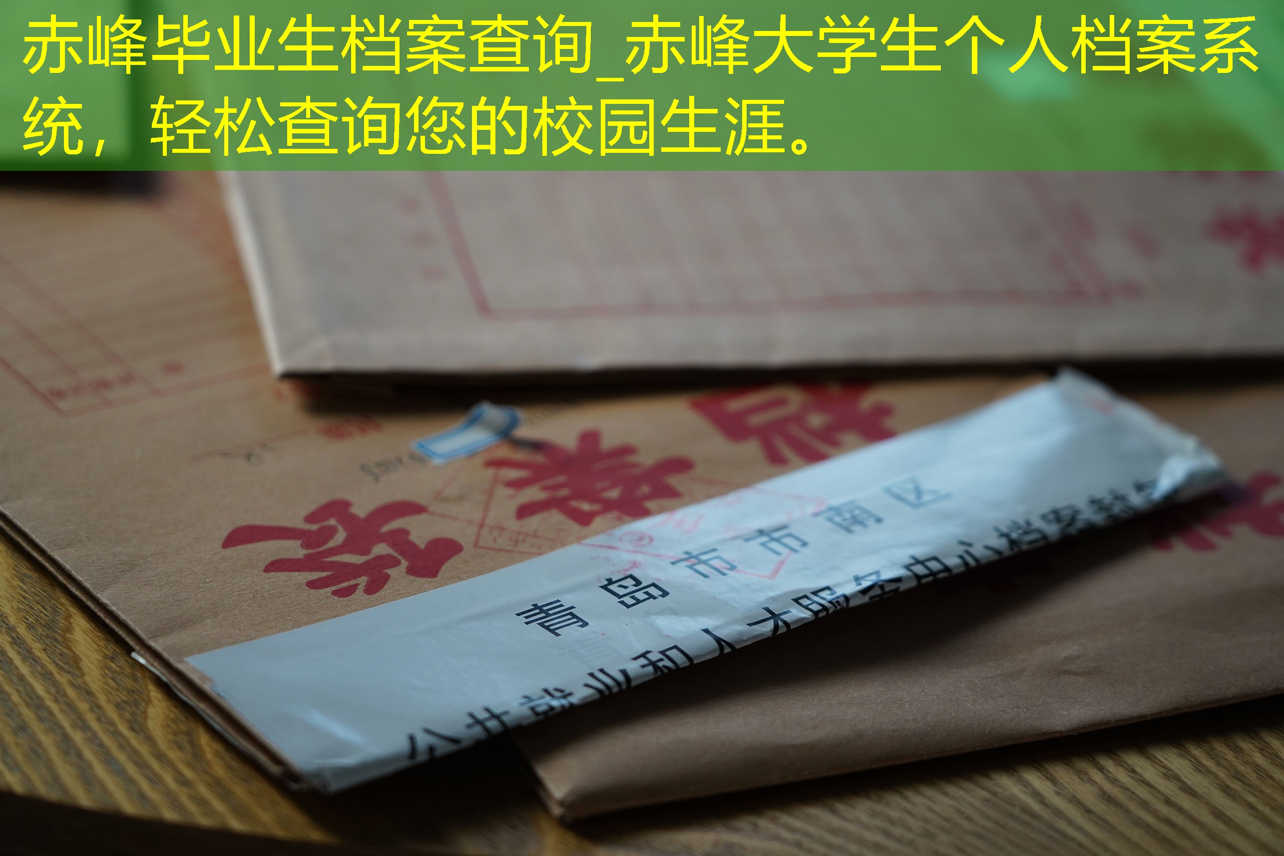 档案查询
