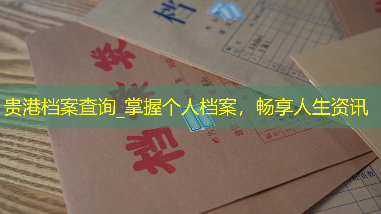 档案查询