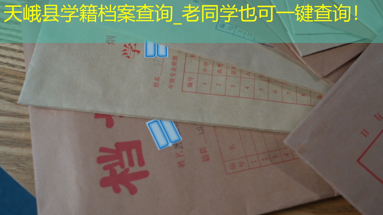 档案查询