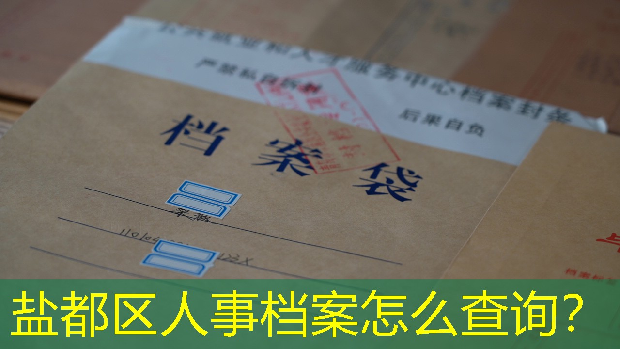 档案查询
