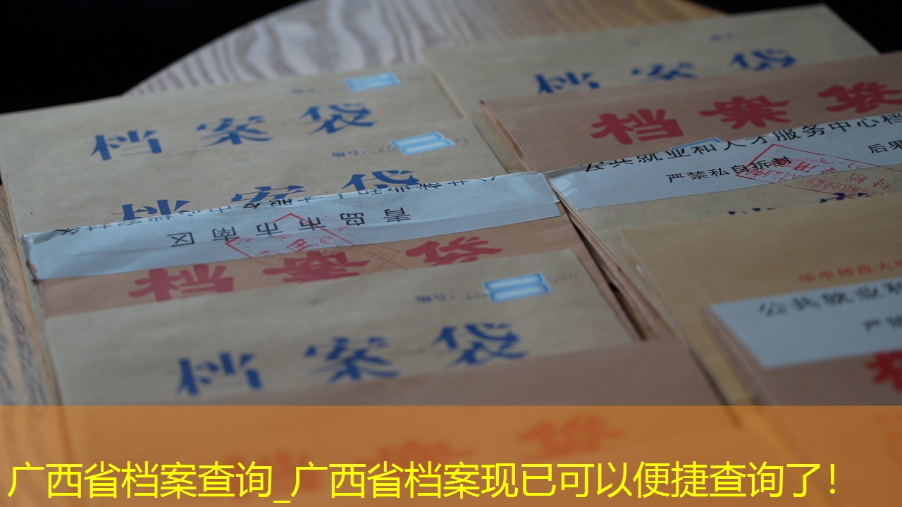 档案查询