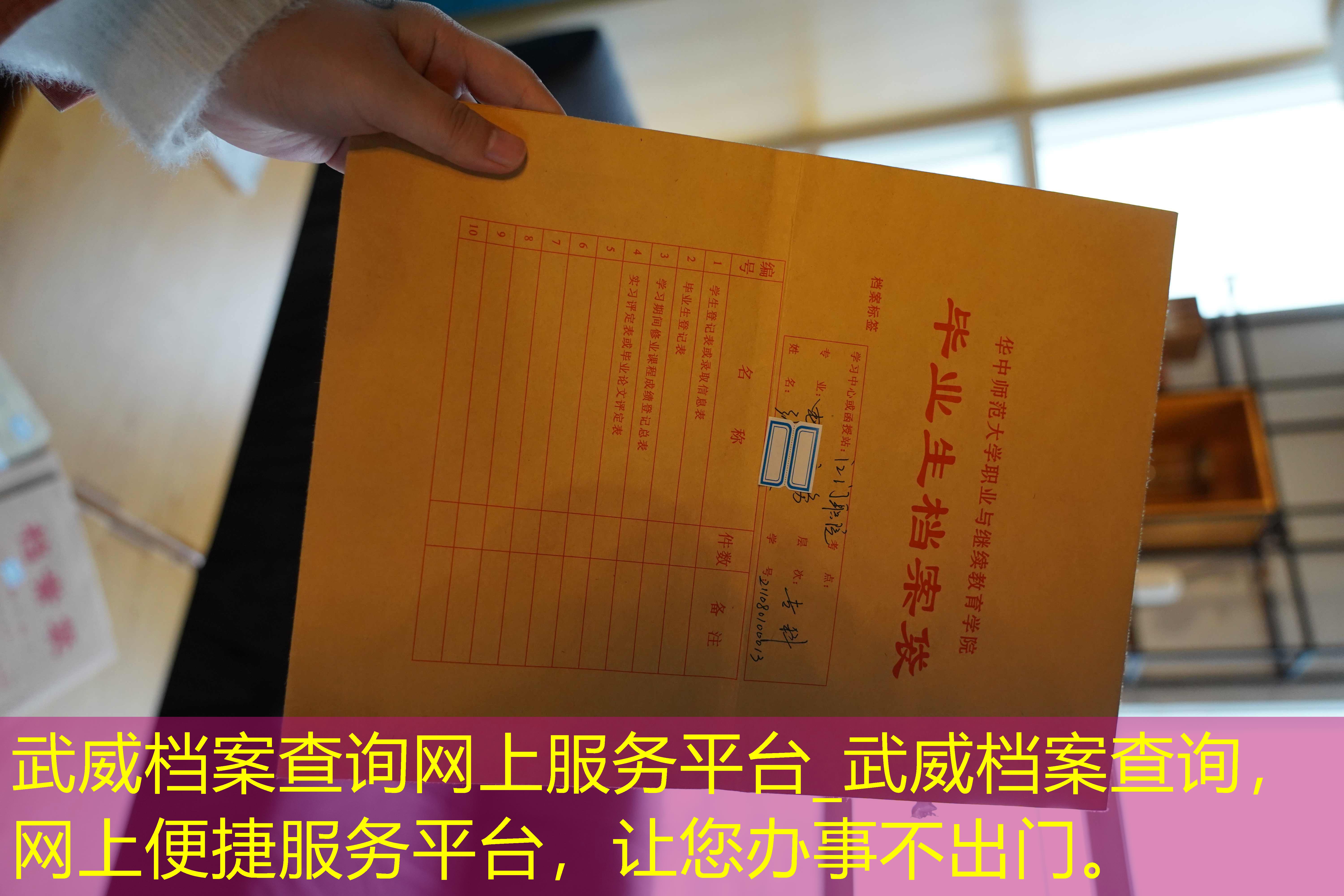 档案查询