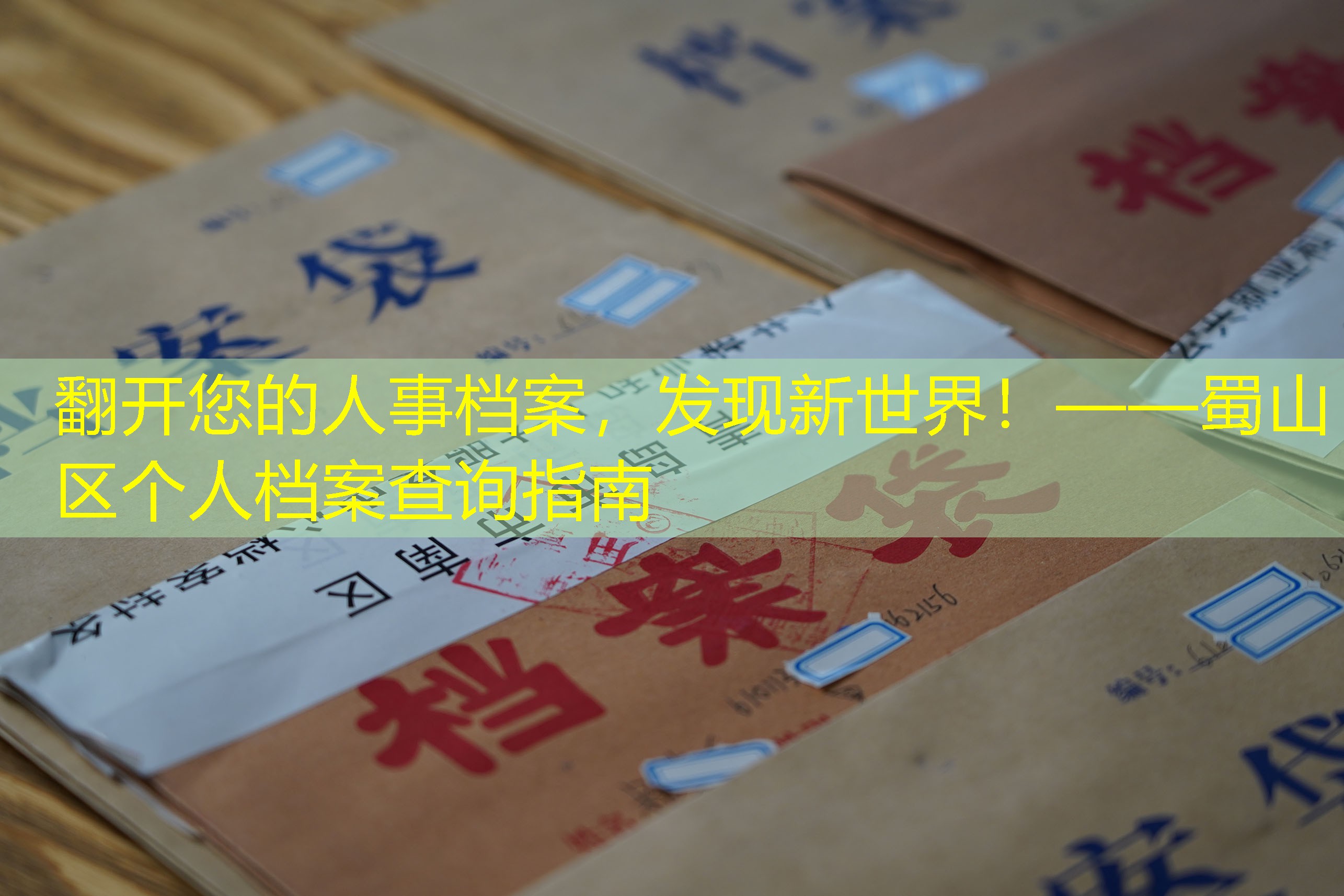 档案查询