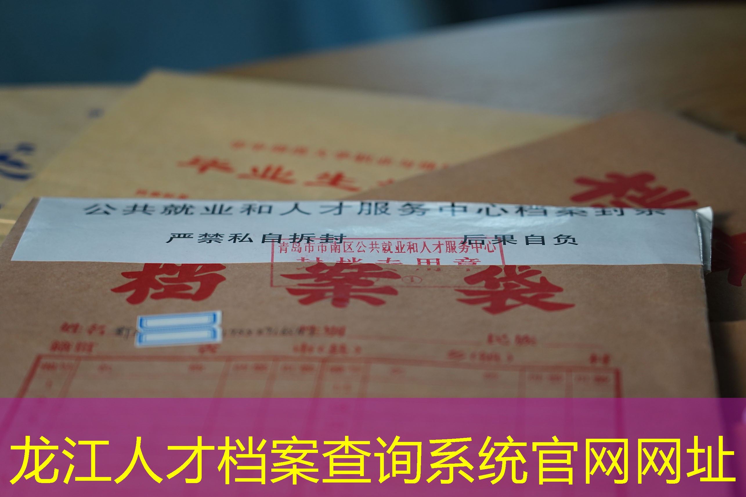 档案查询