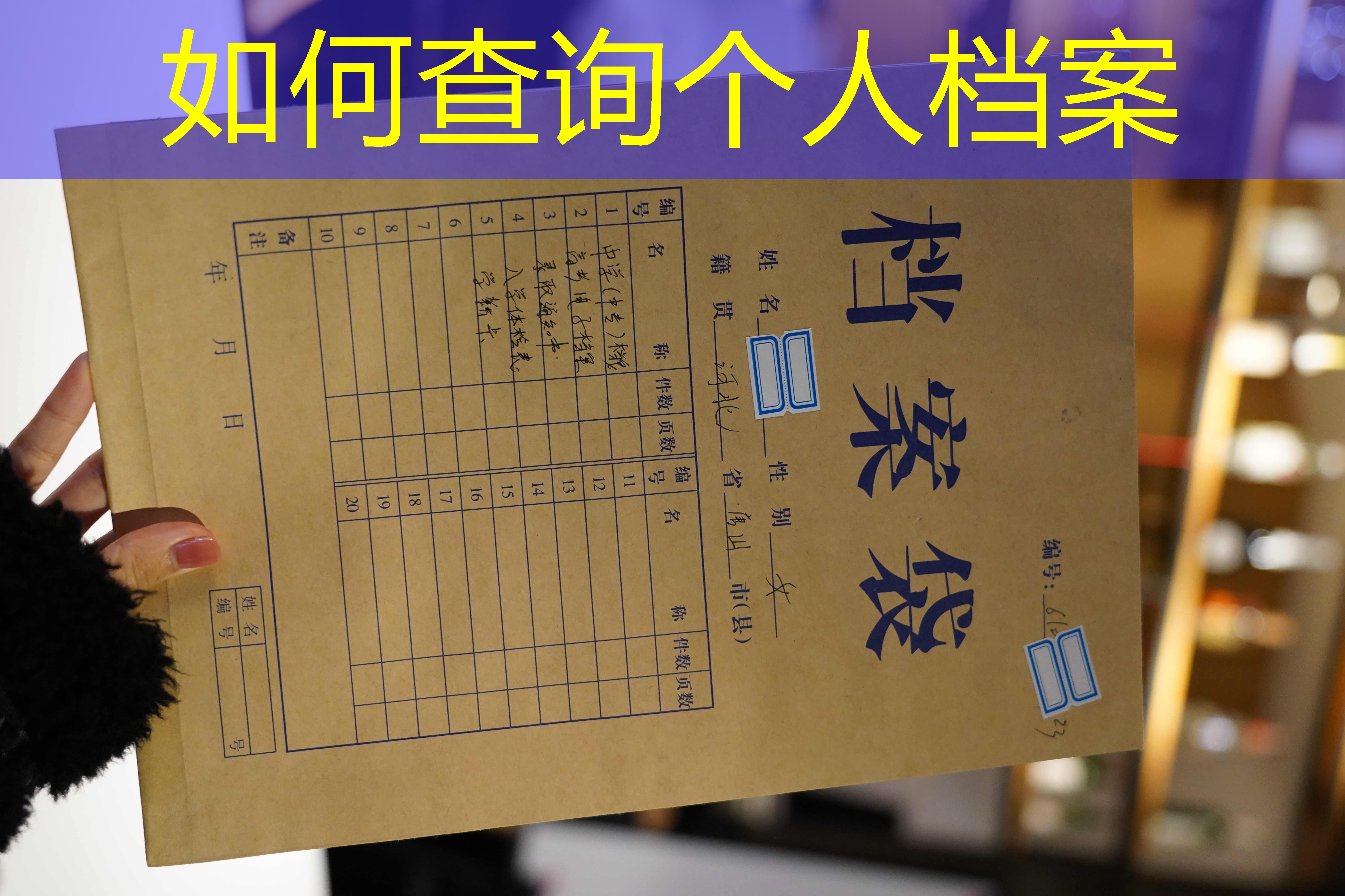 档案查询