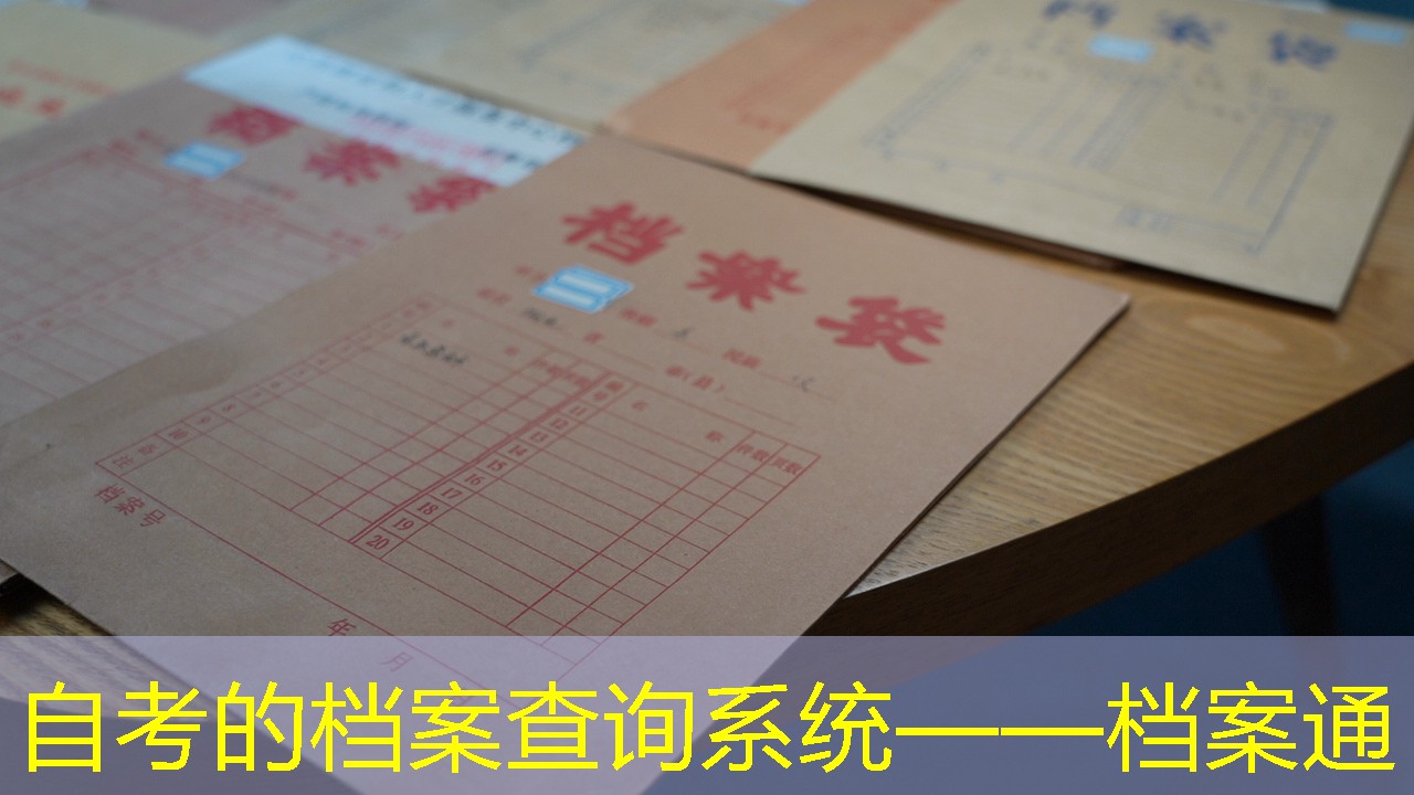 档案查询