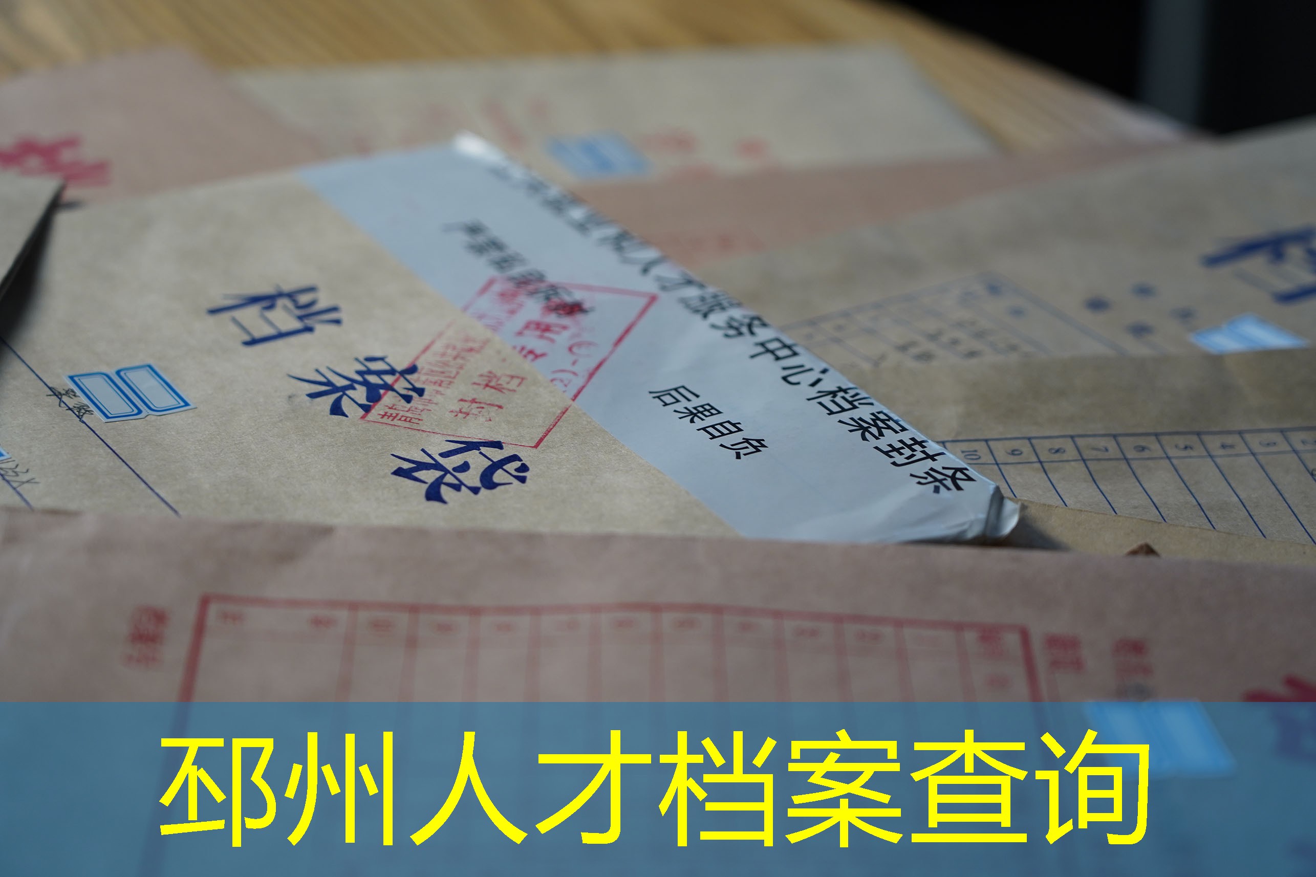 档案查询