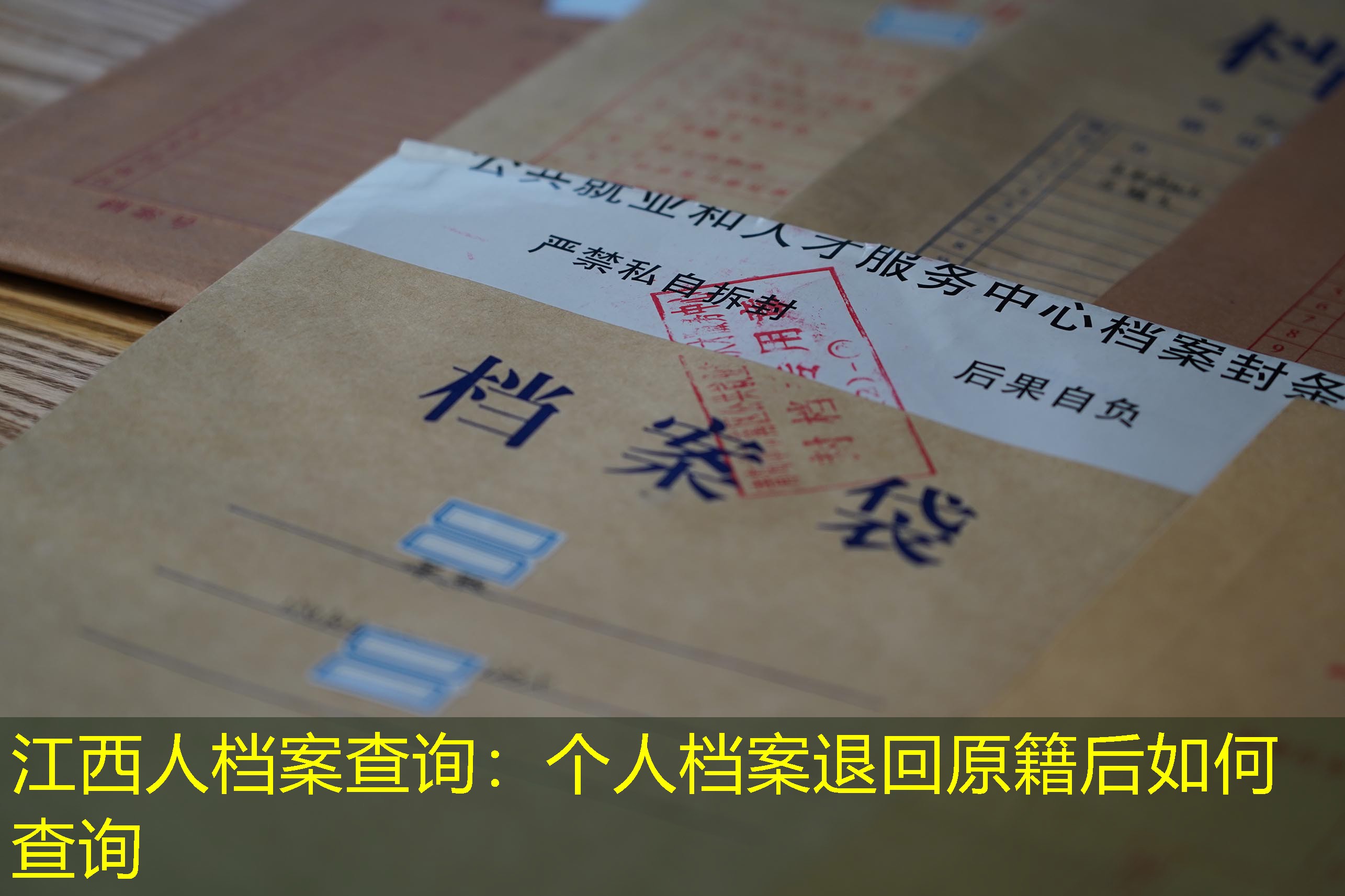 档案查询