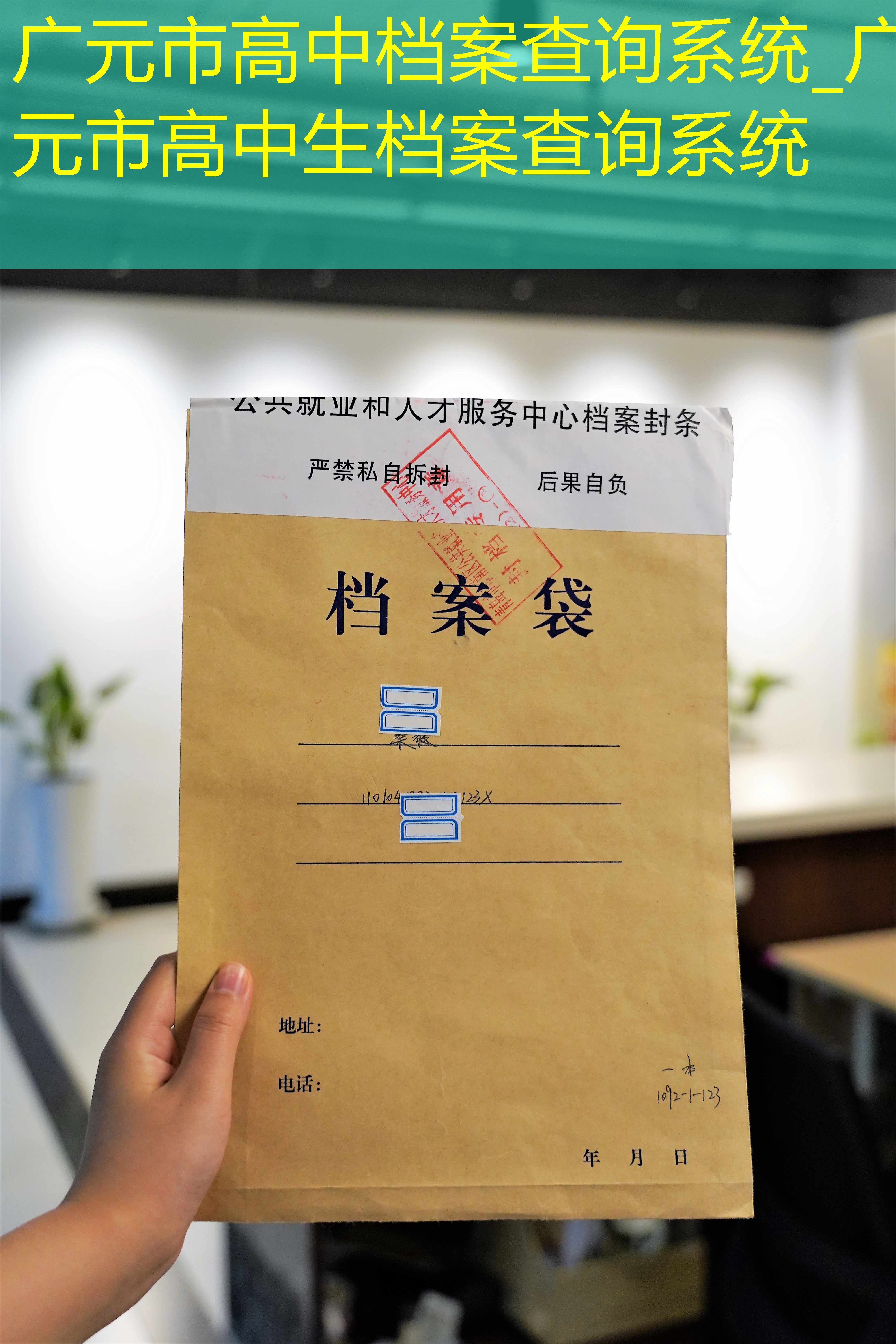 档案查询