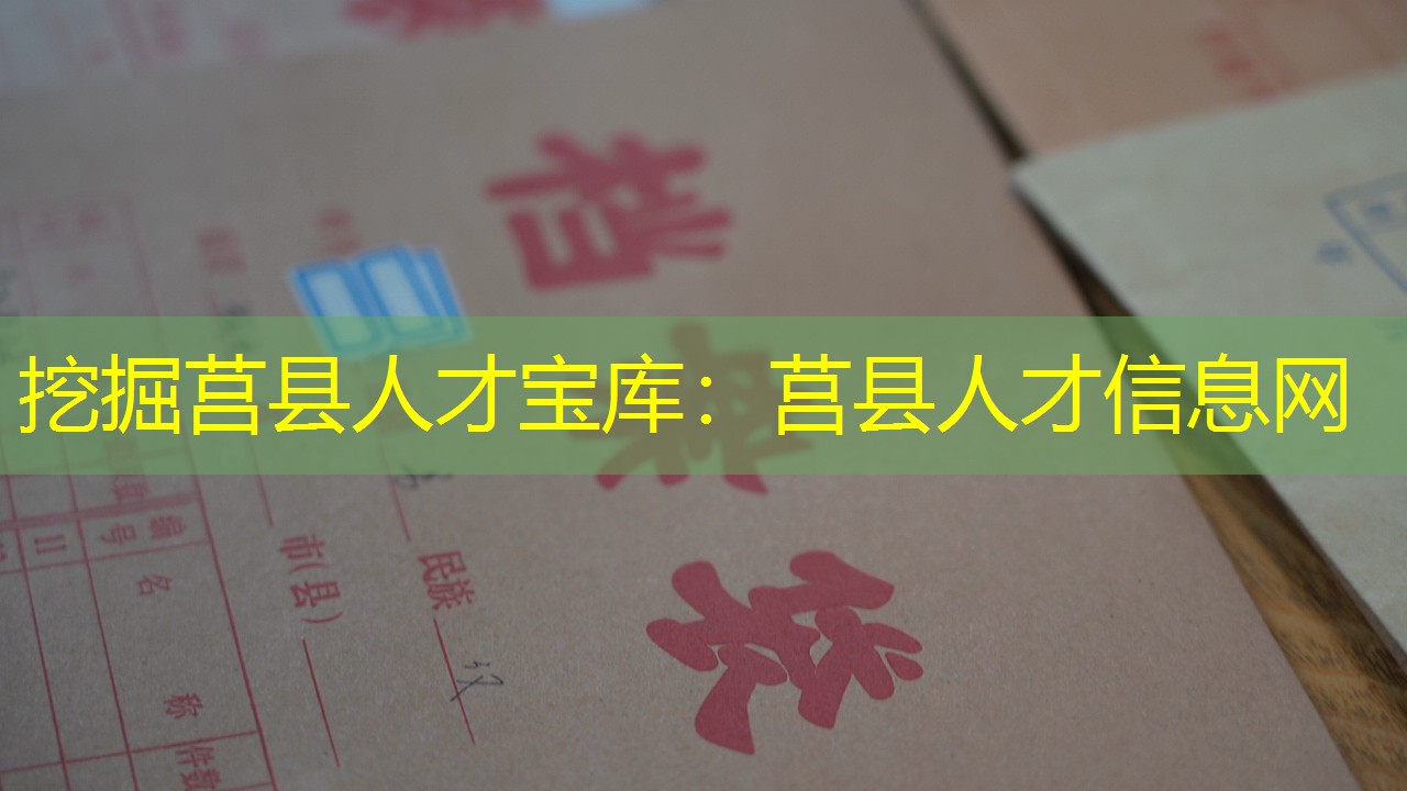 档案查询