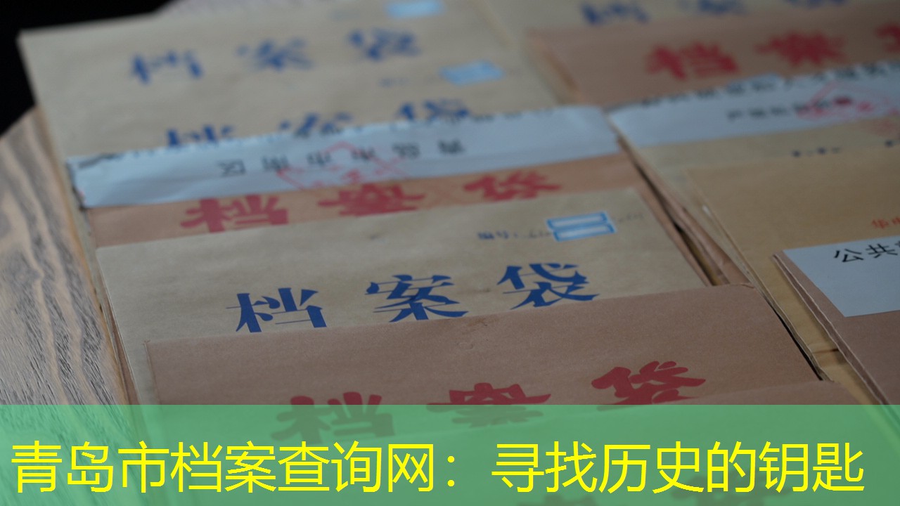 档案查询