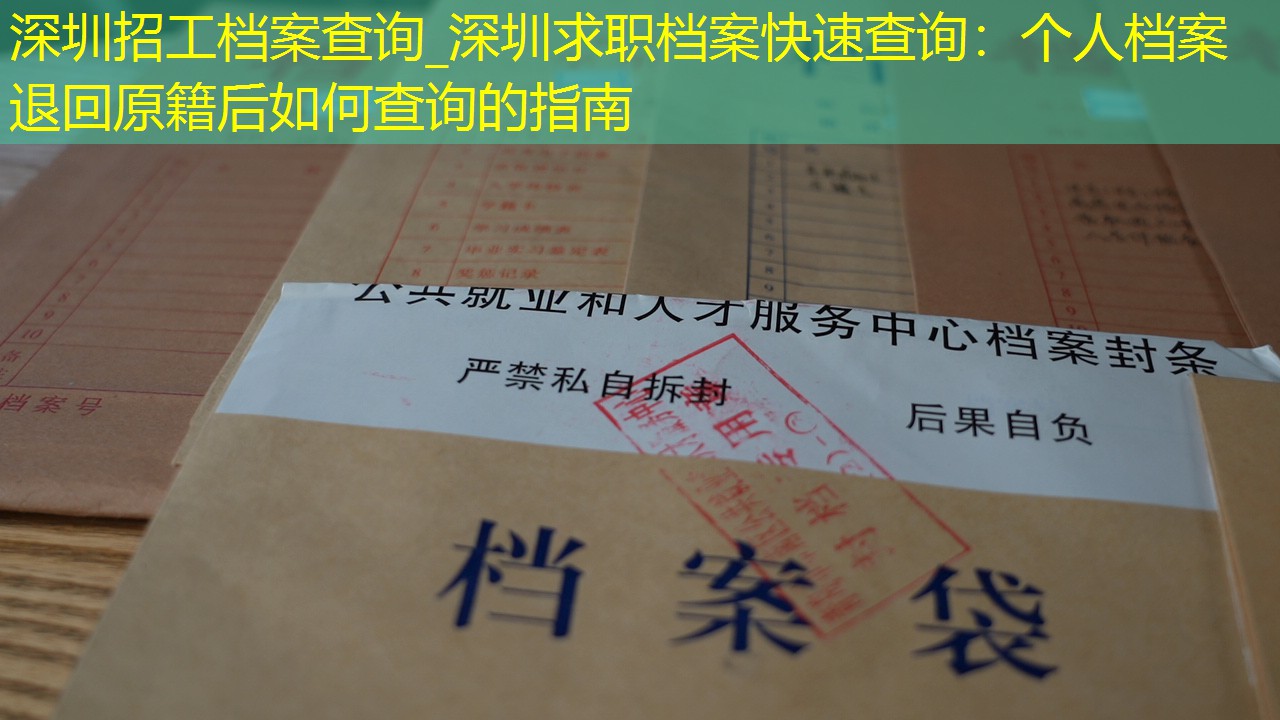 档案查询