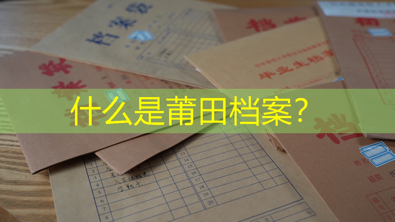 档案查询
