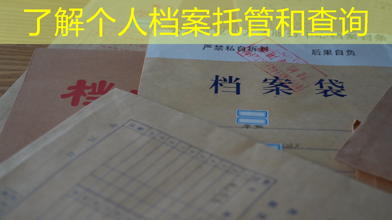 档案查询