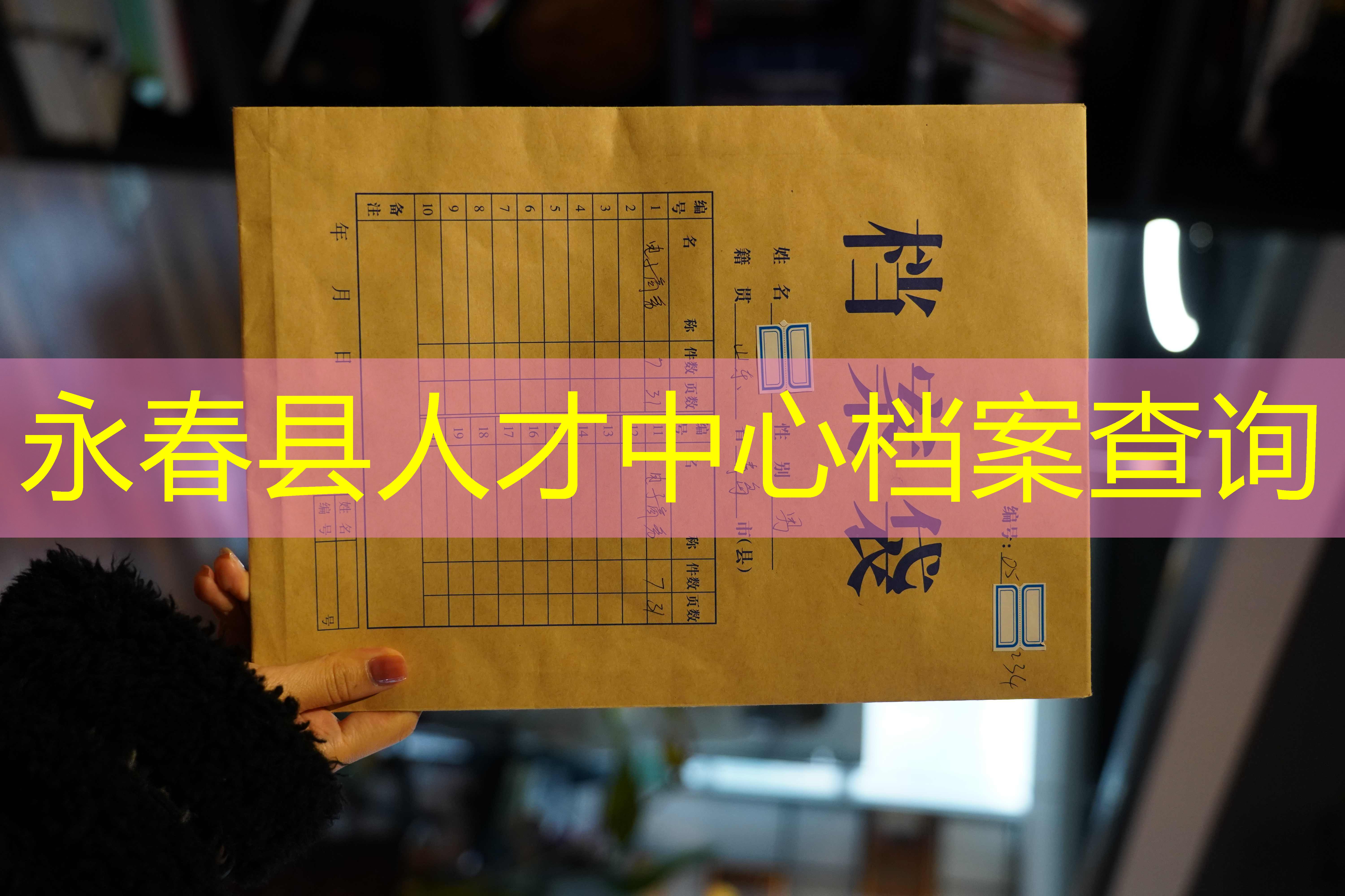 档案查询