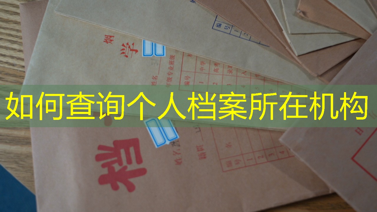 档案查询