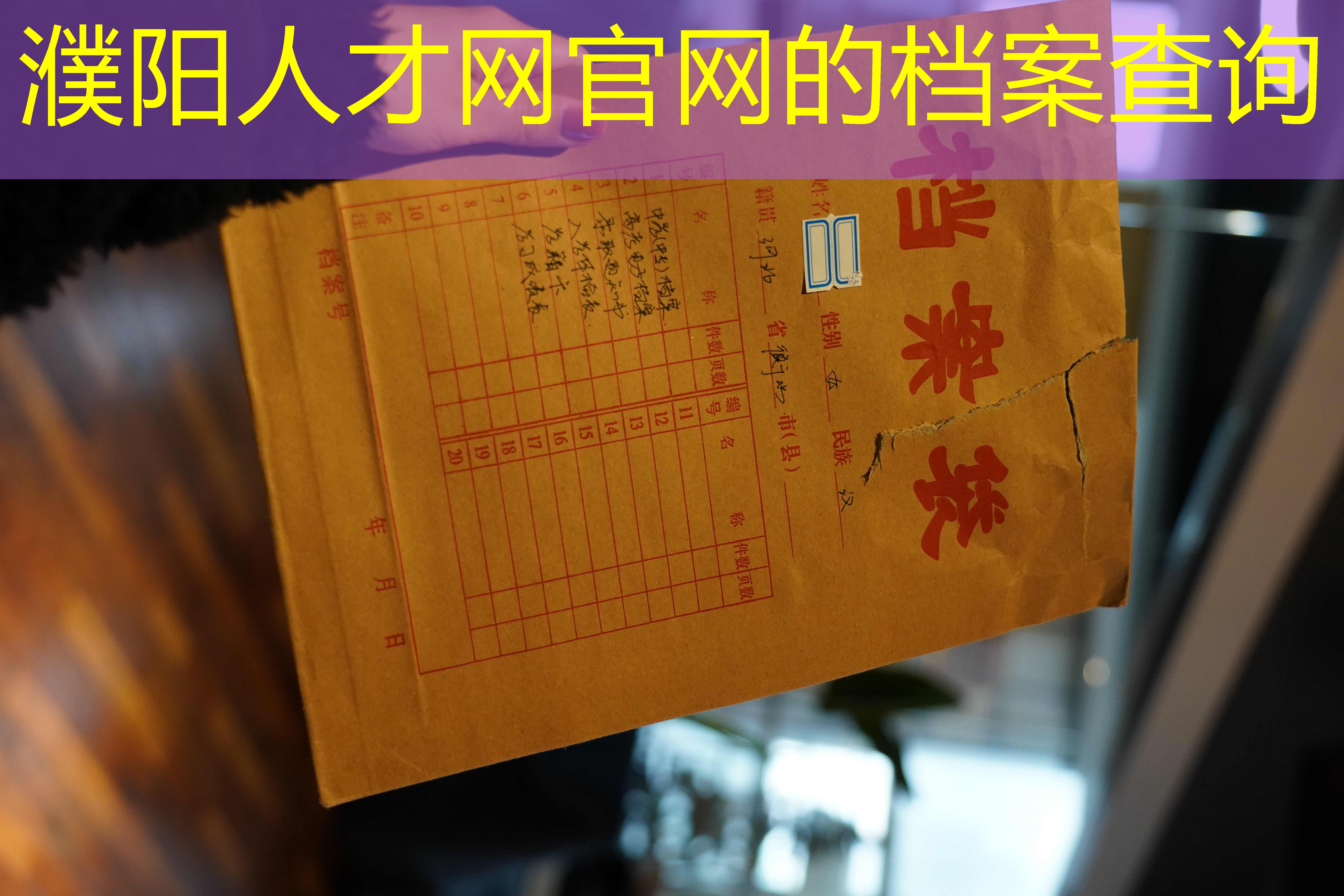 档案查询