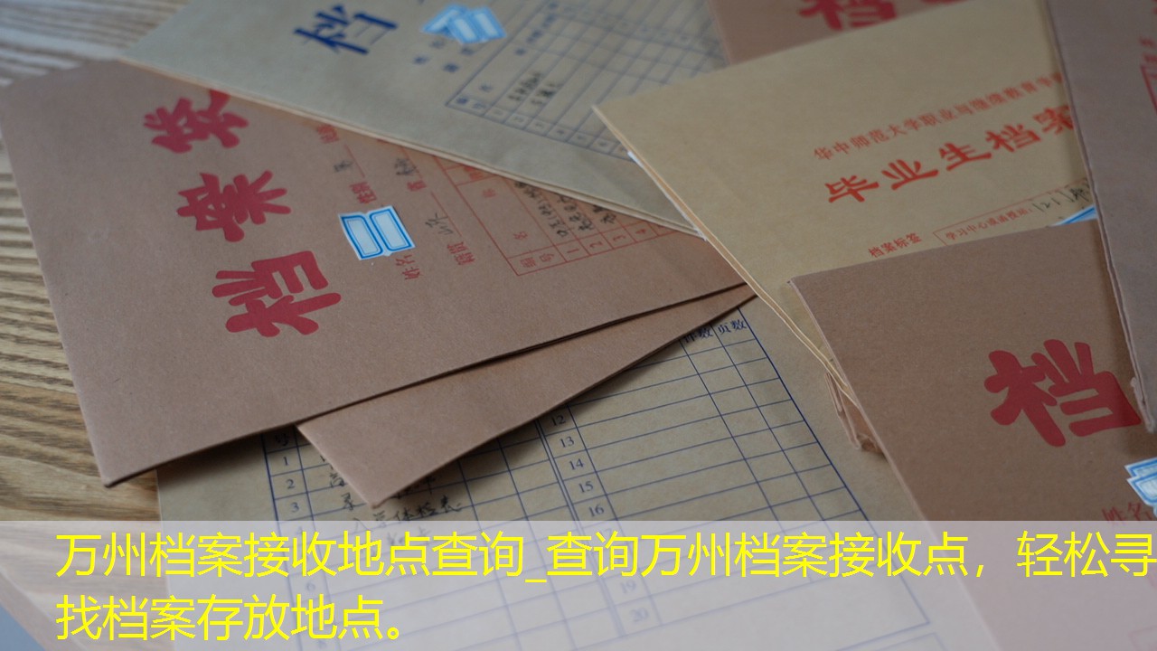 档案查询