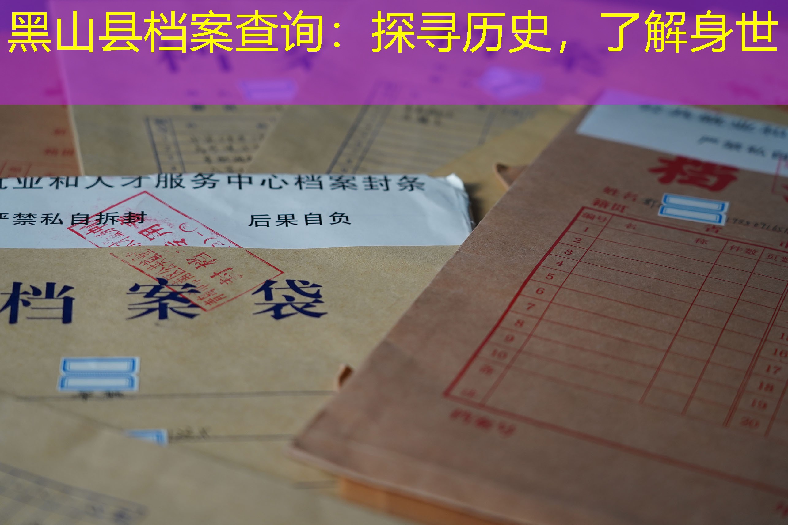 档案查询