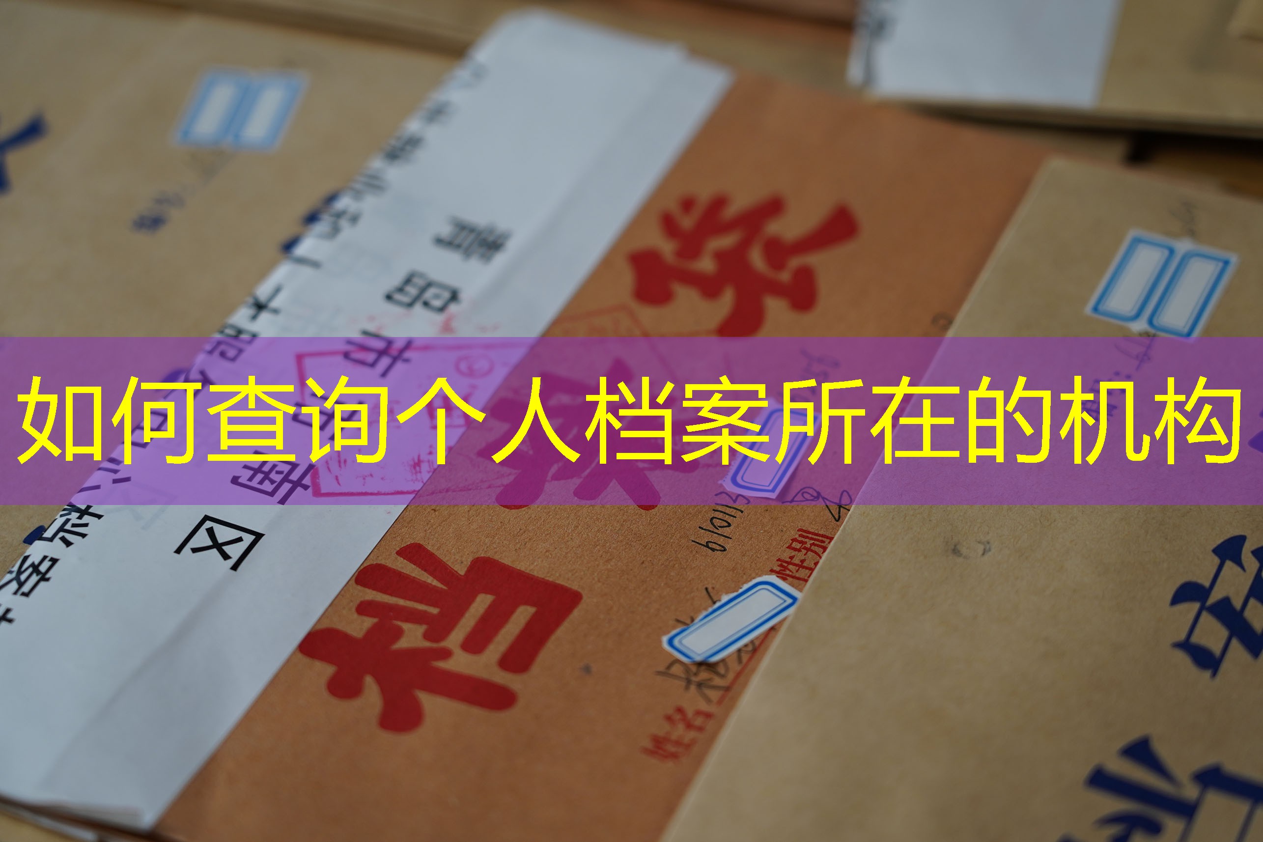 档案查询