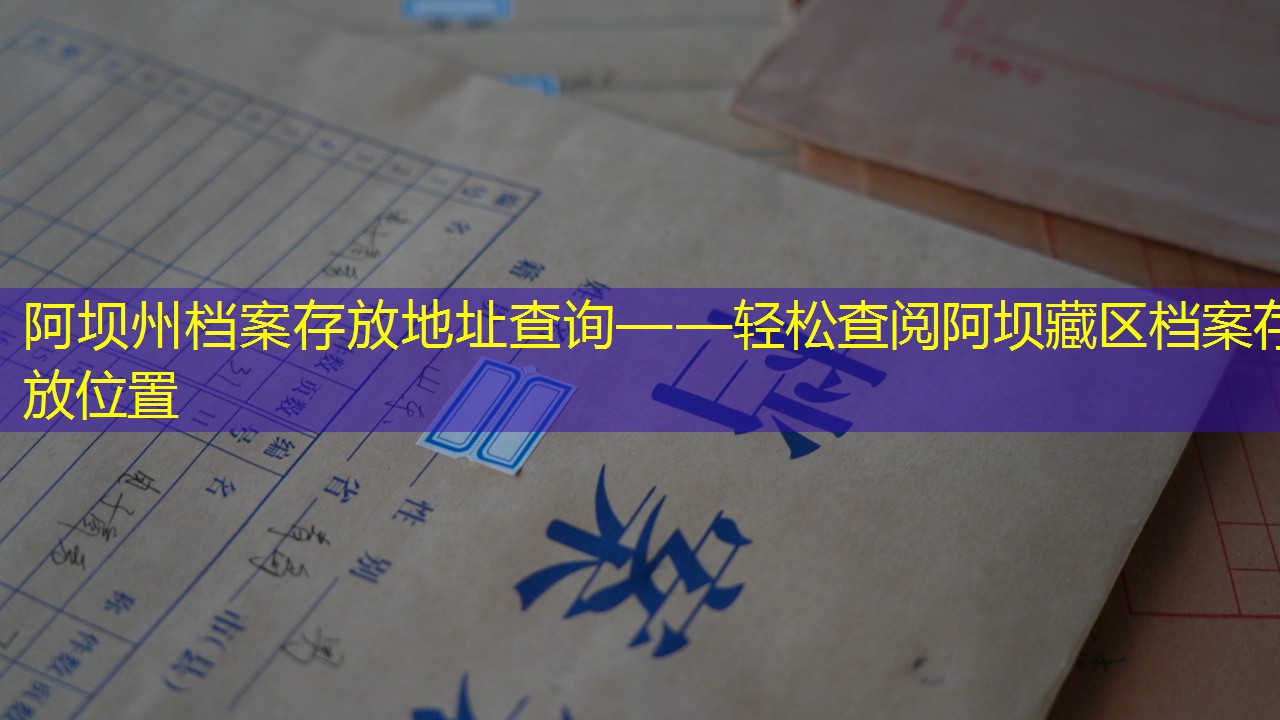 档案查询