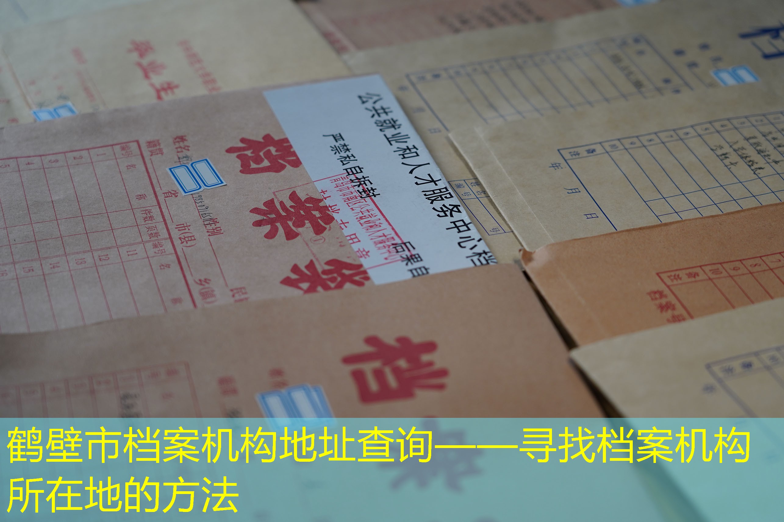 档案查询