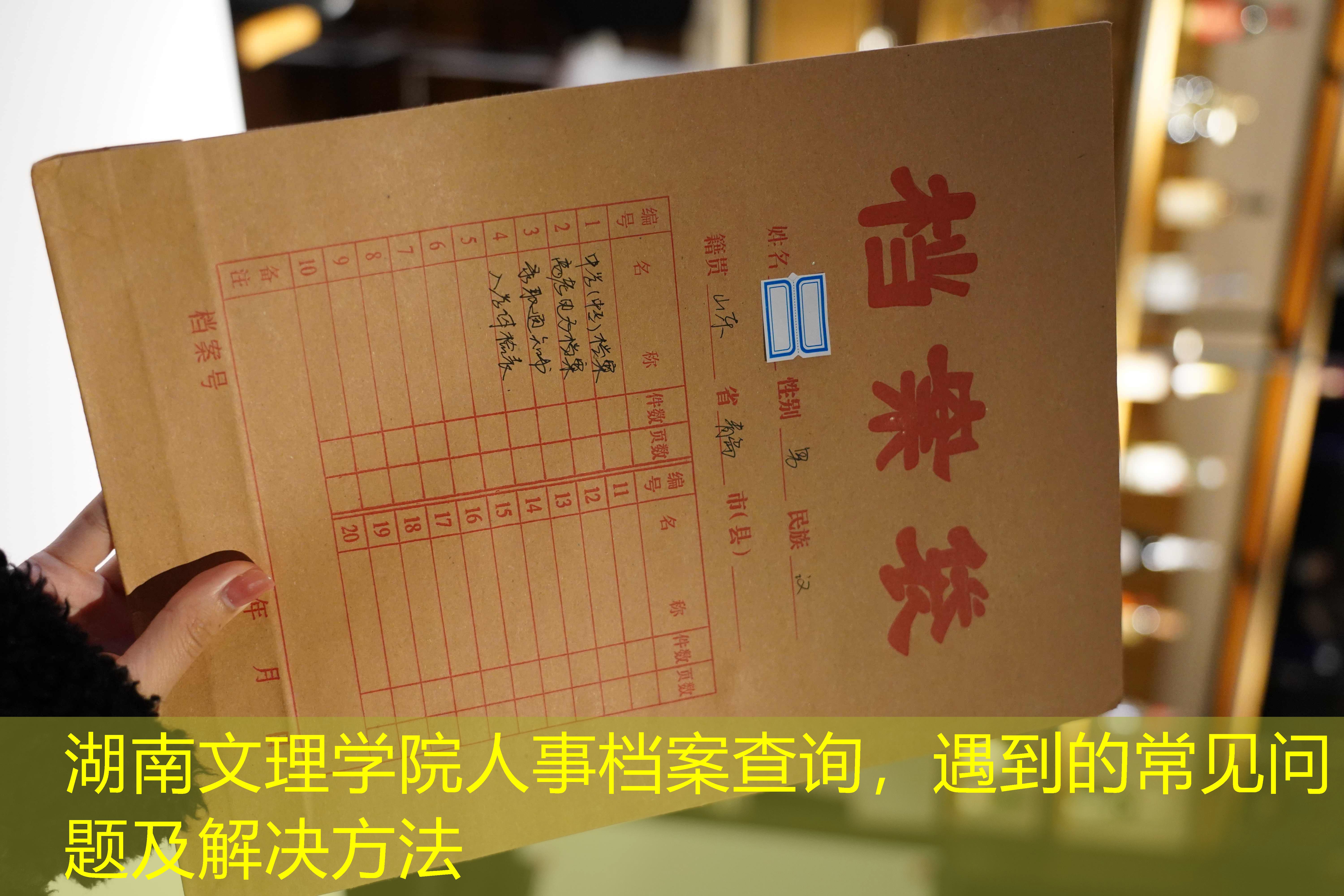 档案查询