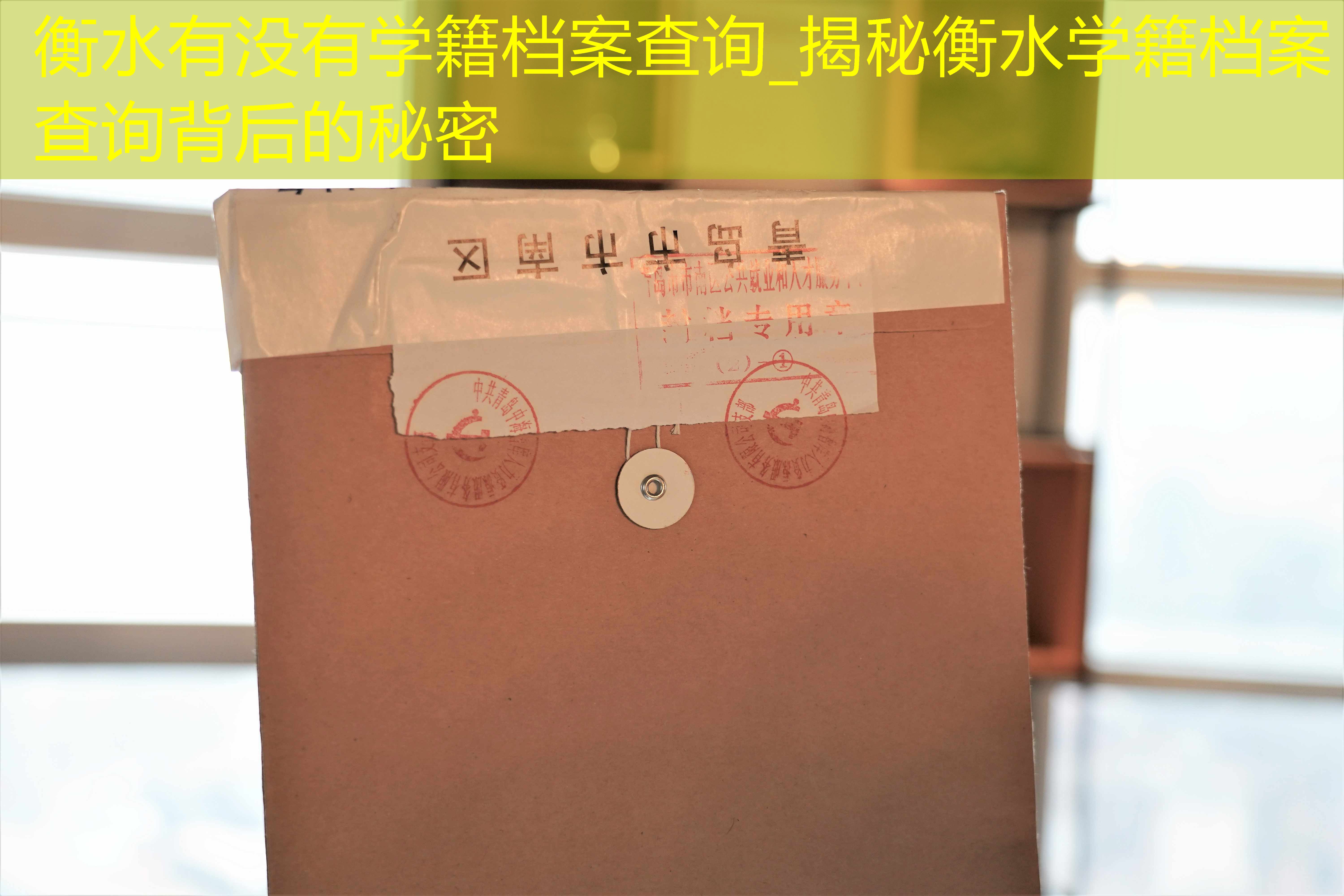 档案查询