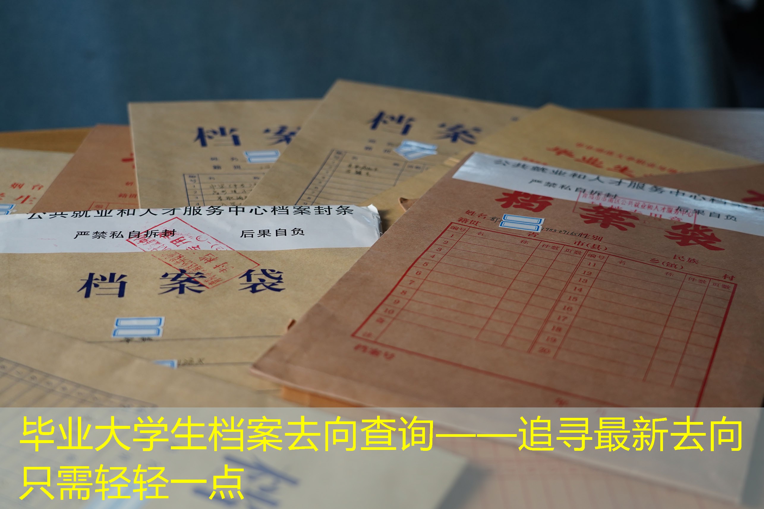 档案查询