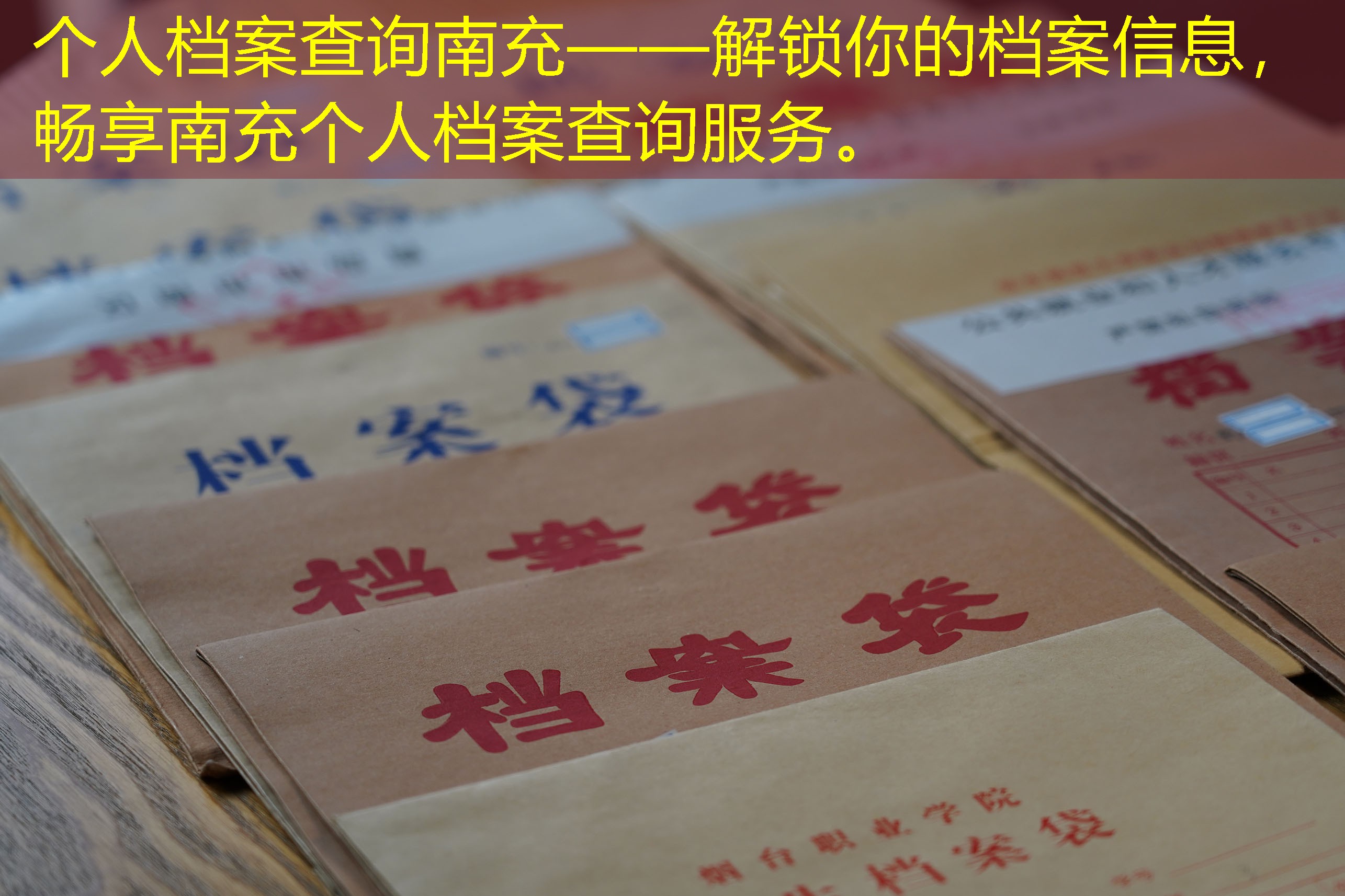 档案查询