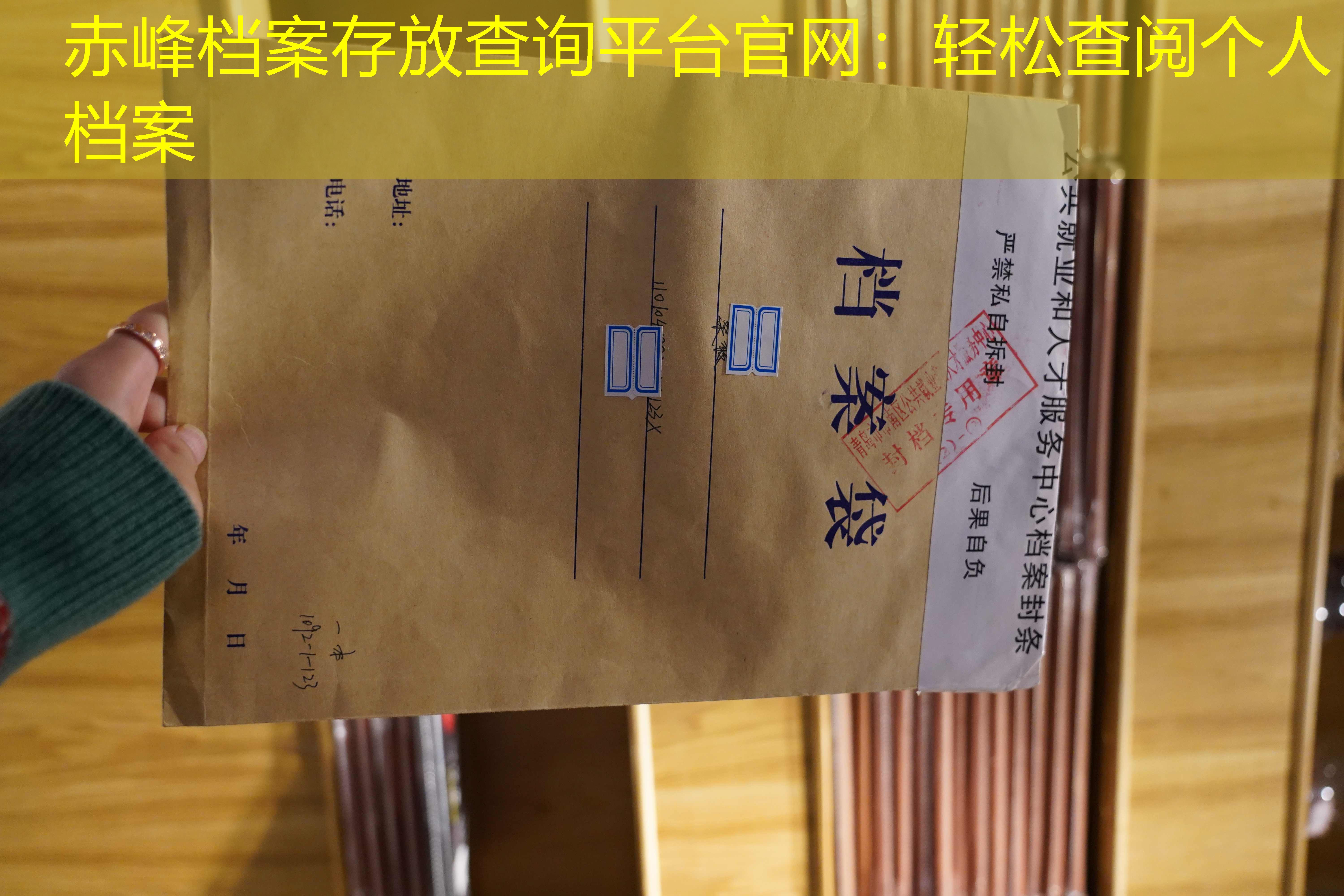 档案查询