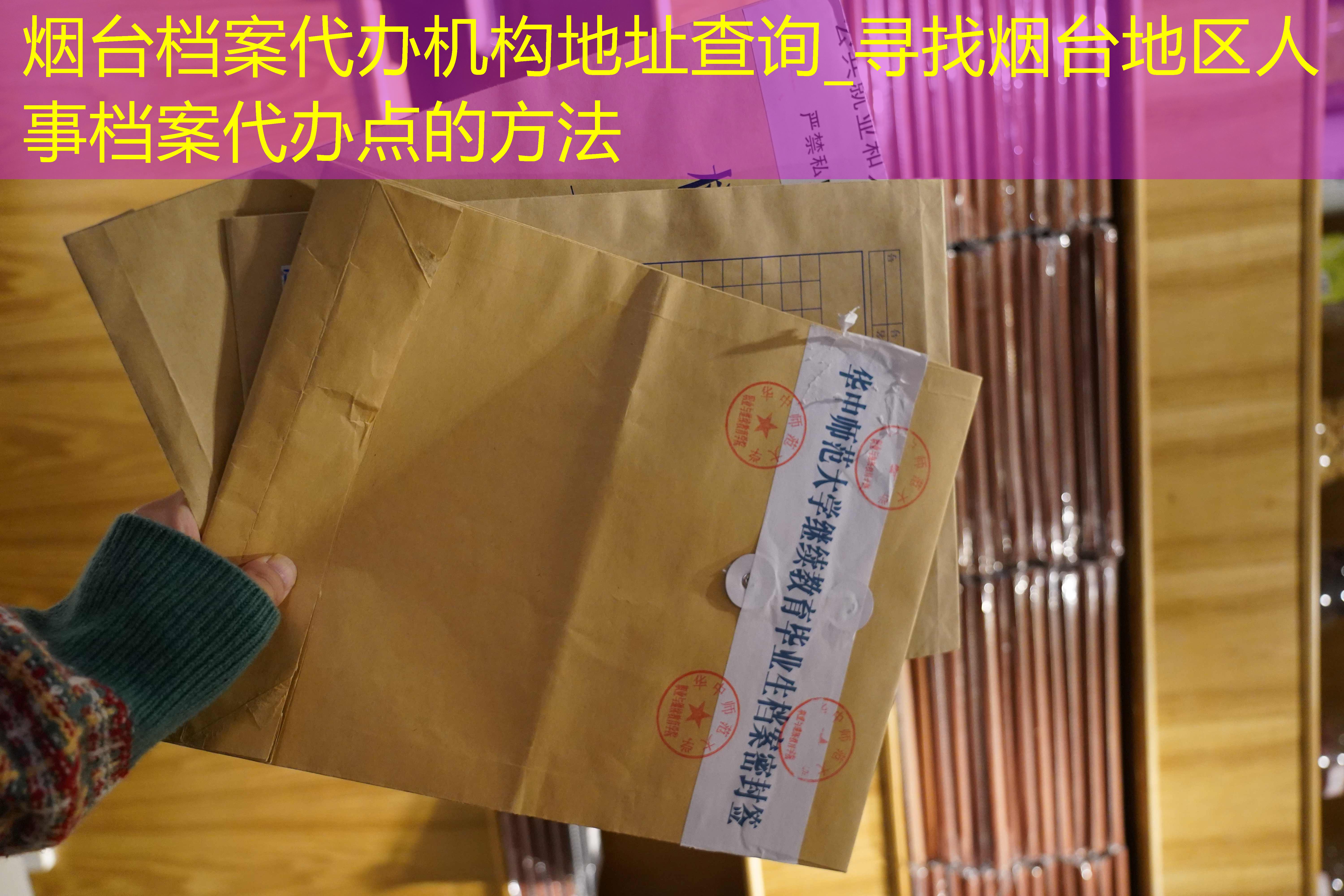 档案查询