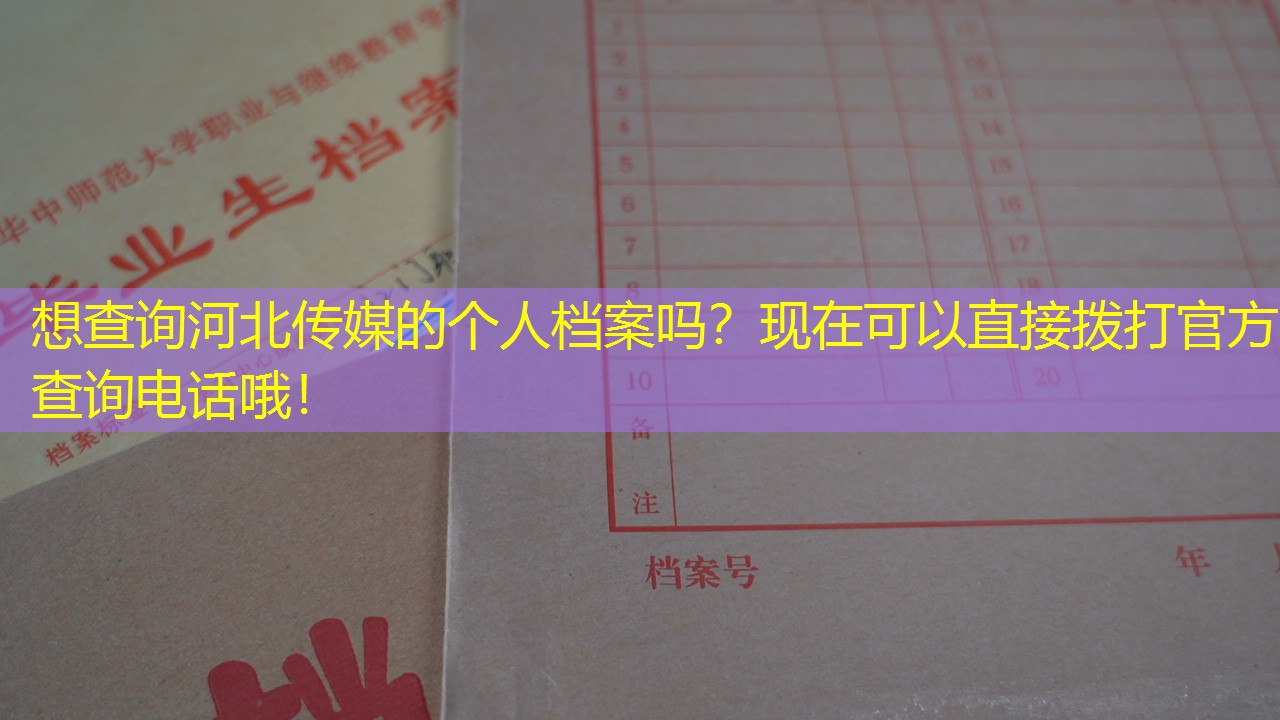 档案查询