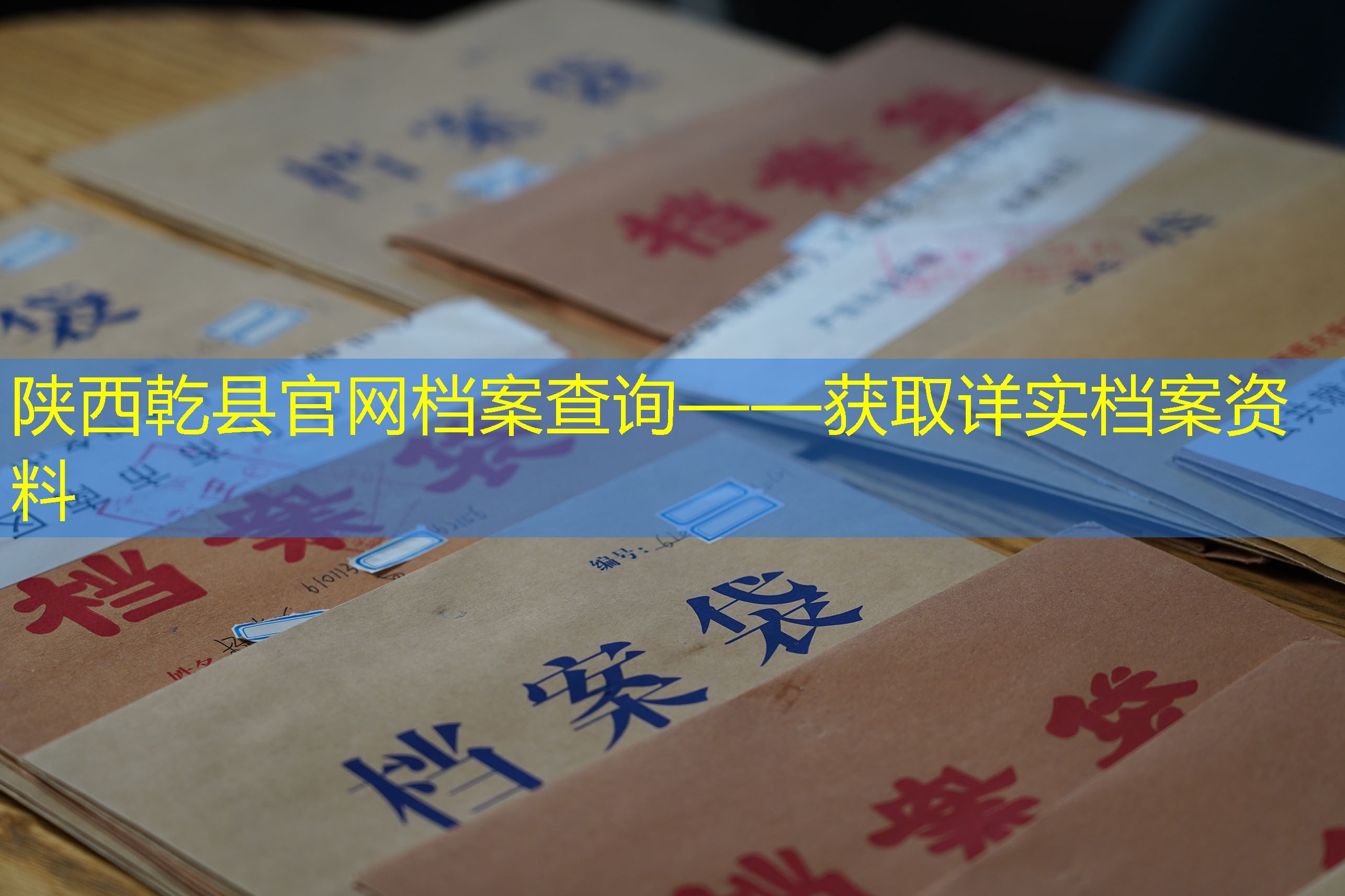 档案查询