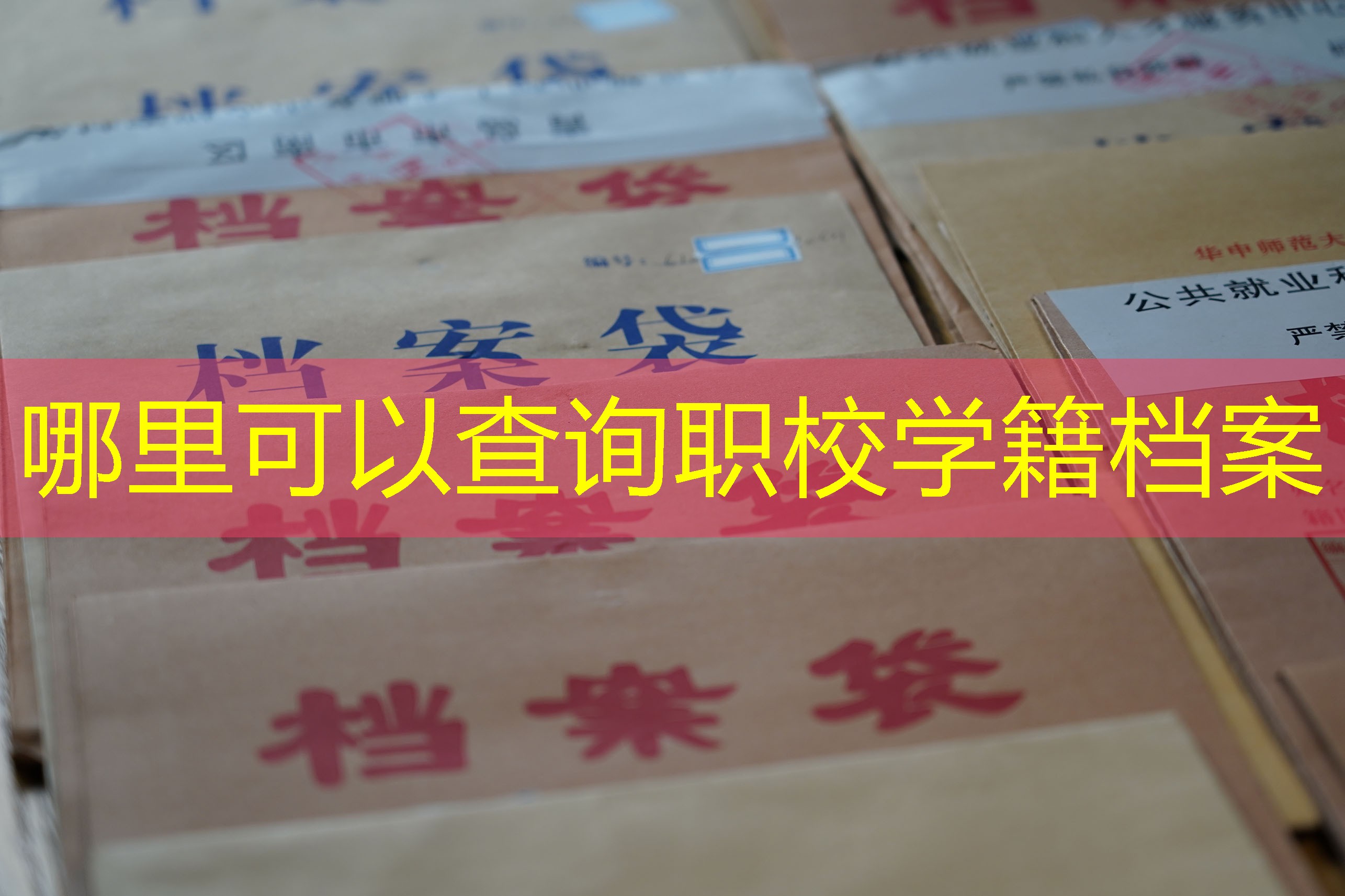 档案查询