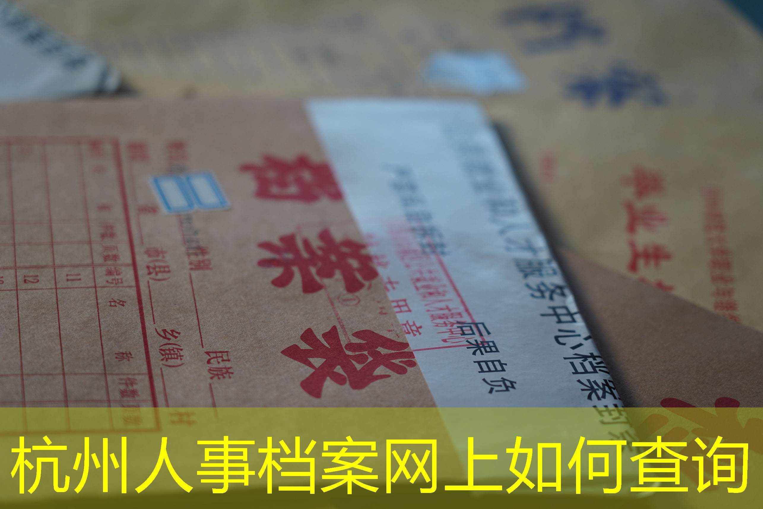 档案查询