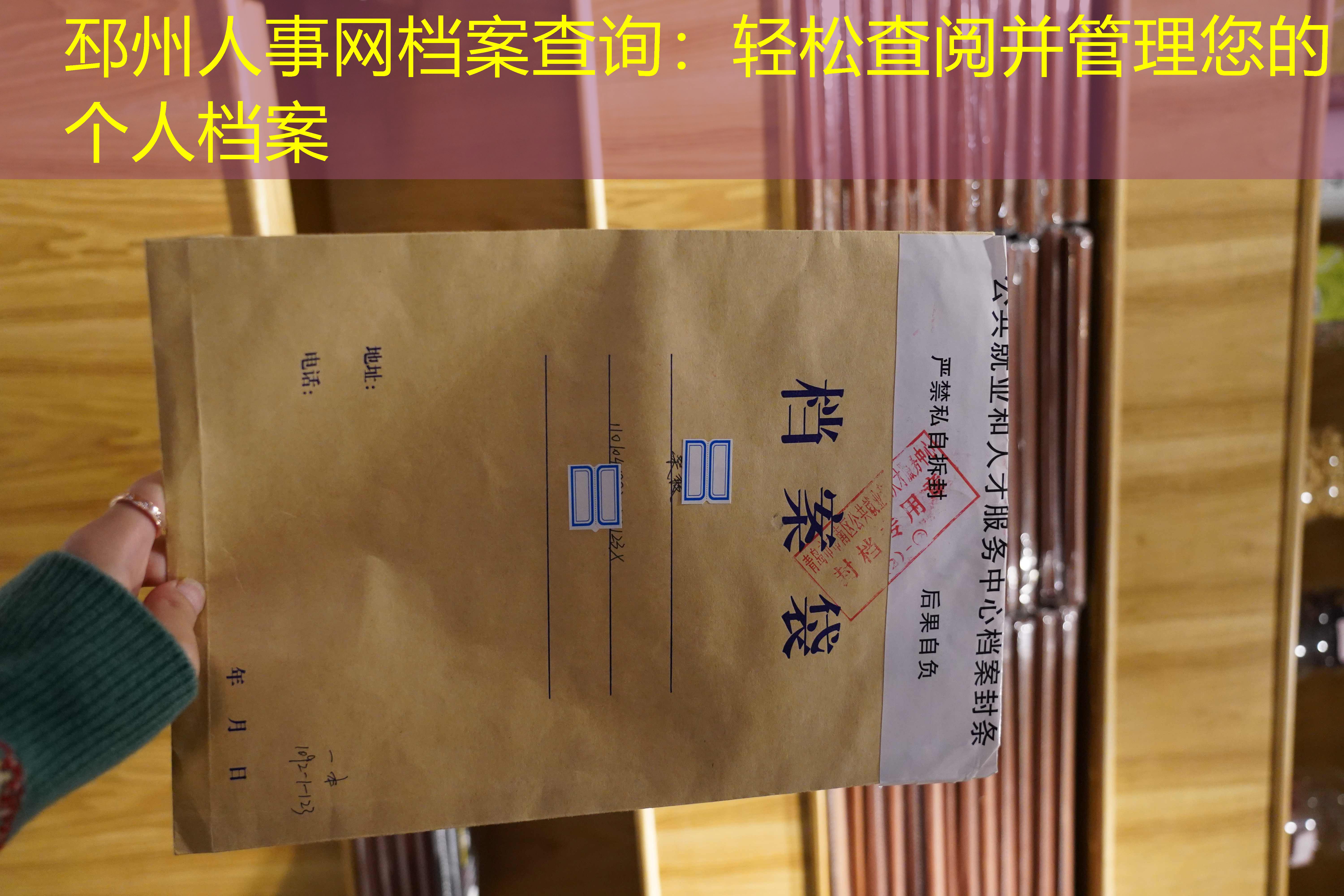 档案查询
