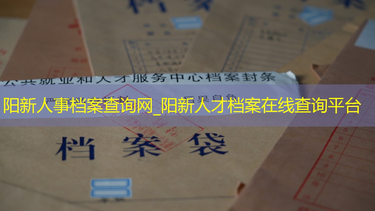 档案查询